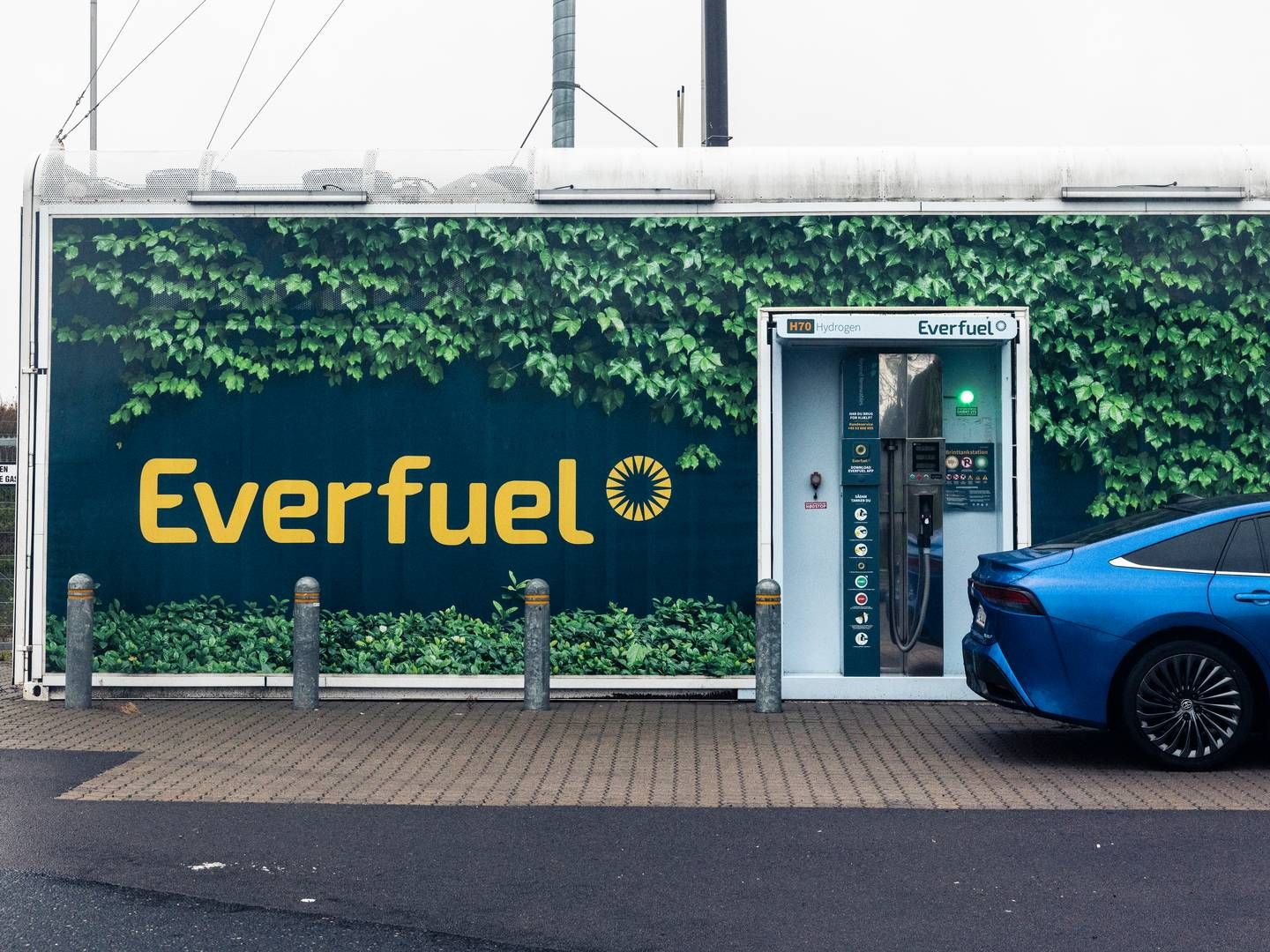 Everfuel ejer 51 pct., mens den franske fond ejer 49 pct. af det nye joint venture, der med 200 mio. nu kan begynde at finansiere udviklingen af elektrolysekapacitet i Norden | Foto: Anders Holst Pedersen/Ritzau Scanpix