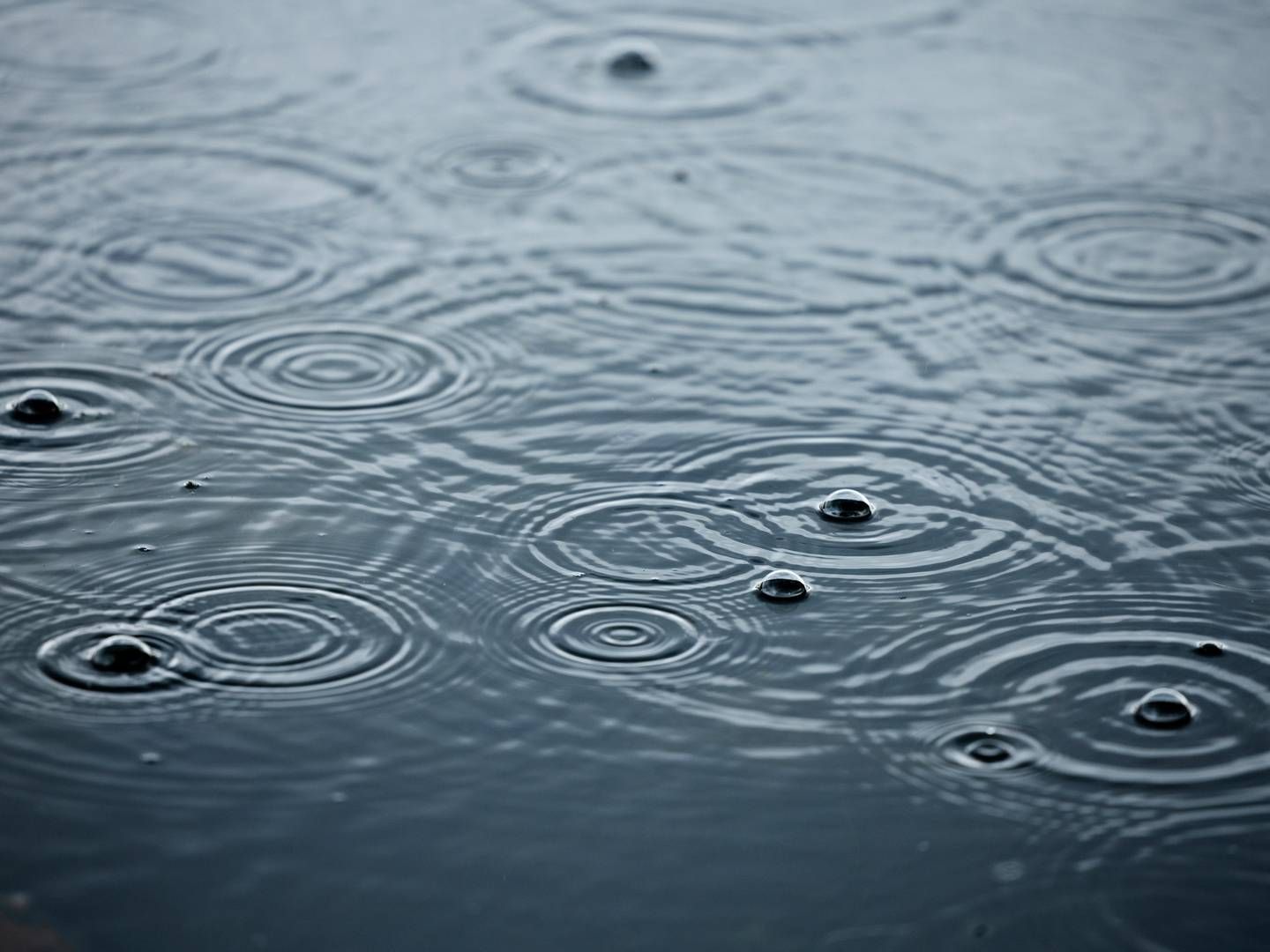 Regnvejret i Jylland har givet travlhed hos forsikringsselskaberne. | Foto: THOMAS BORBERG/RITZAU SCANPIX