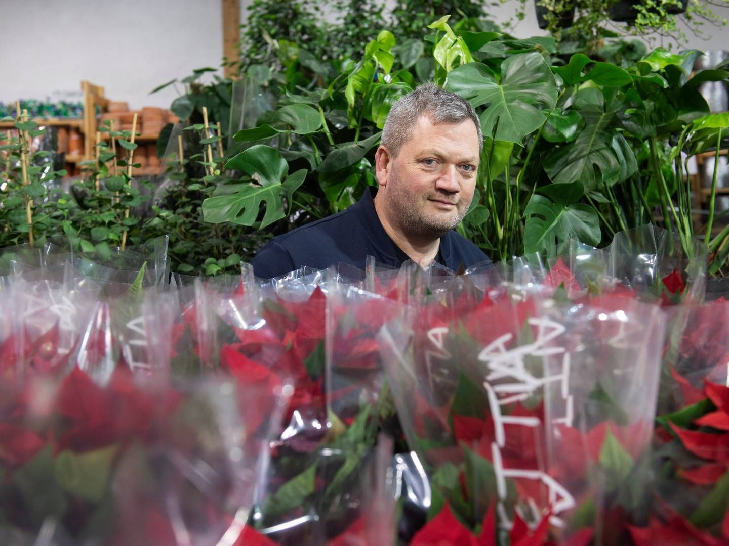 Brian Reenberg stiftede Billigblomst i 2011. Kæden med 10 havecentre havde i 2022 et samlet overskud på 2,4 mio. kr. i regi af selskabet Brian Reenberg Holding. | Foto: Stine Rasmussen