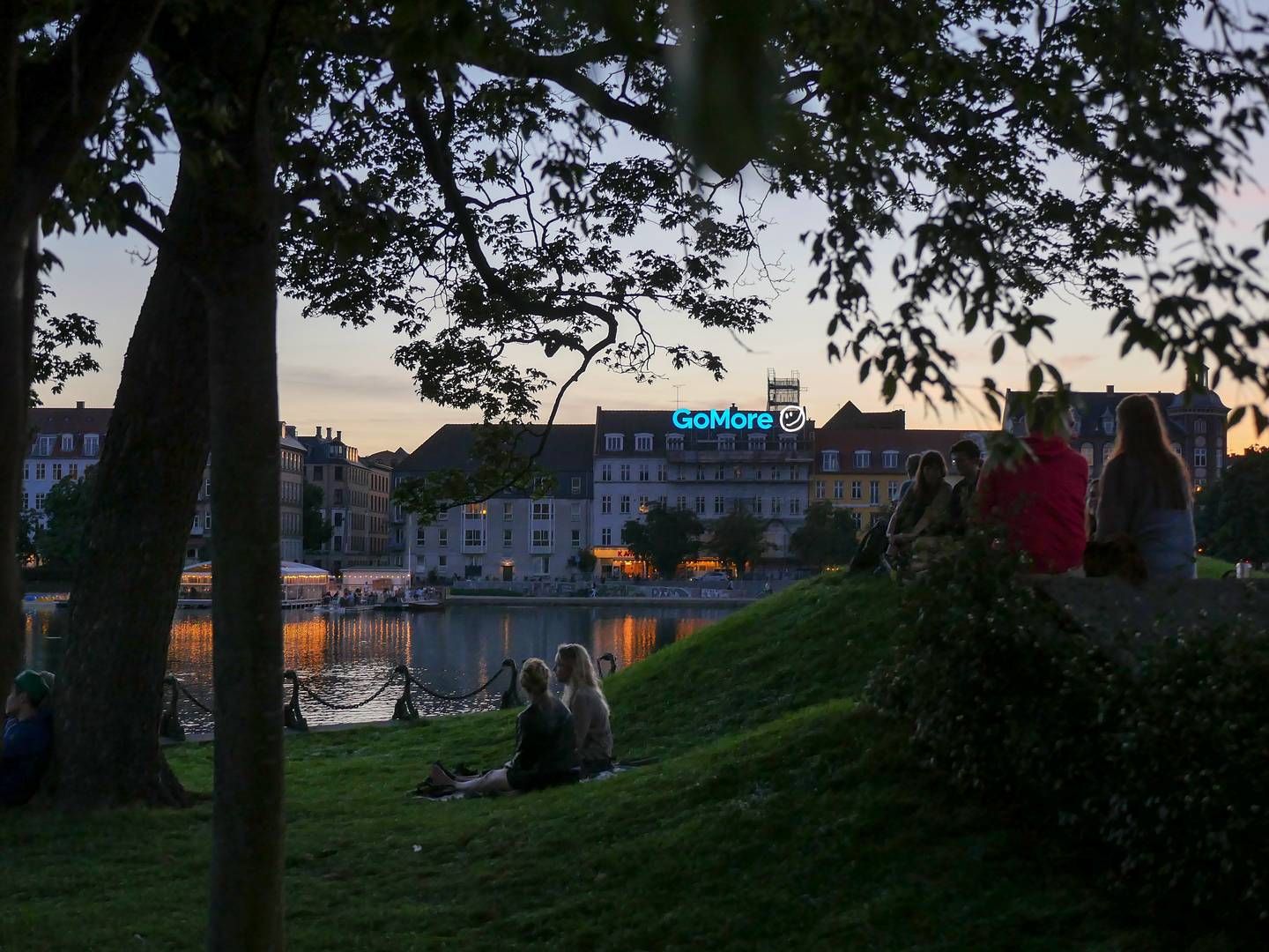 Gomore har ti år på bagen og er i dag til stede i seks lande. | Foto: Gomore/PR-foto