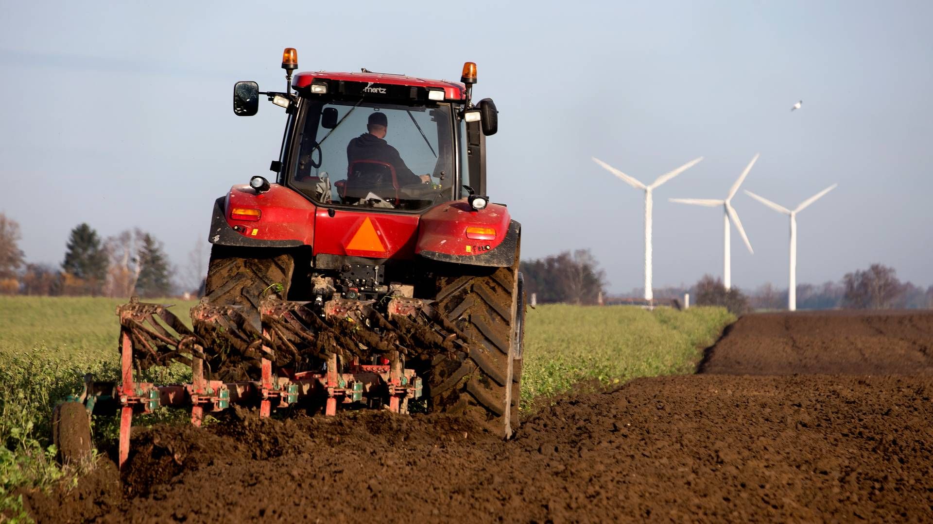 Regeringen håber i foråret at lande en løsning for en fremtidig klimaafgift for landbruget. | Foto: Finn Frandsen