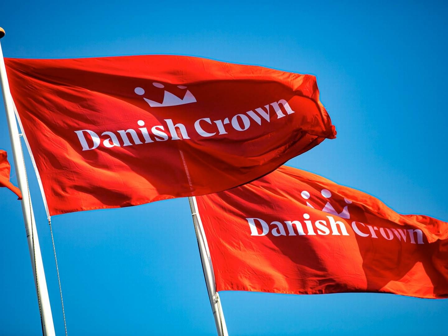 Danish Crown har ca. 5400 andelshavere. | Foto: Pr
