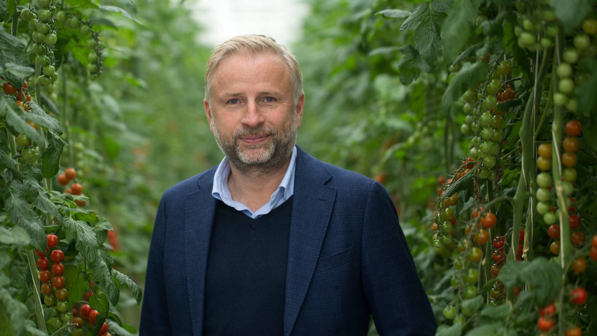 Mads Pedersen er adm. direktør i Nordic Greens, der nu sender sin første salat produceret fuldautomatisk på markedet. | Foto: Benjamin Nørskov