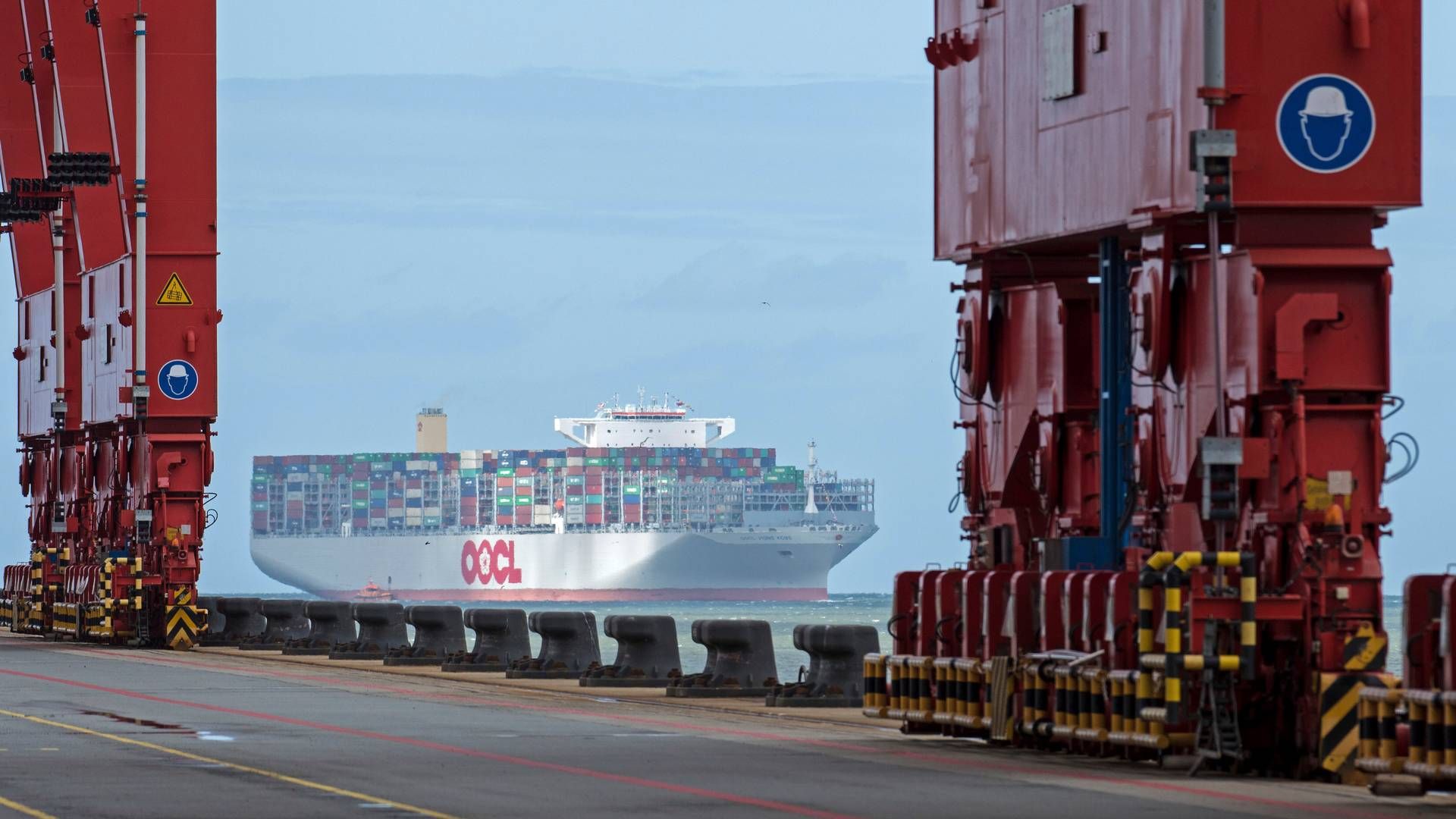 Cosco expects profits to fall to CNY 26bn, approximately USD 3.6bn, from January to September, compared to about USD 15.8bn in the same period in 2022. | Photo: Ingo Wagner/AP/Ritzau Scanpix