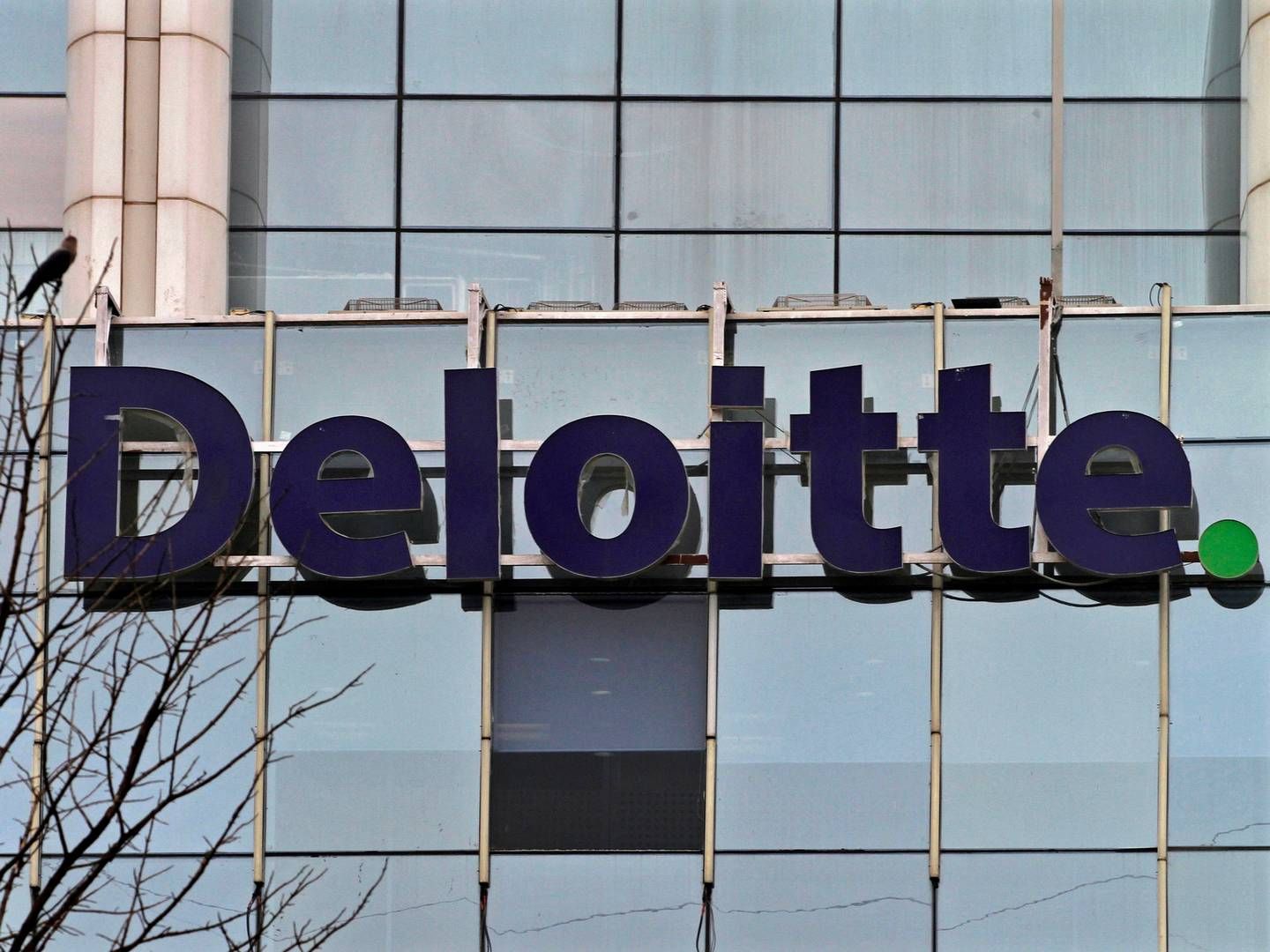 Deloitte investerer flere milliarder kroner over de næste fem år på globalt plan på kunstig intelligens. | Foto: Parivartan Sharma/Reuters/Ritzau Scanpix