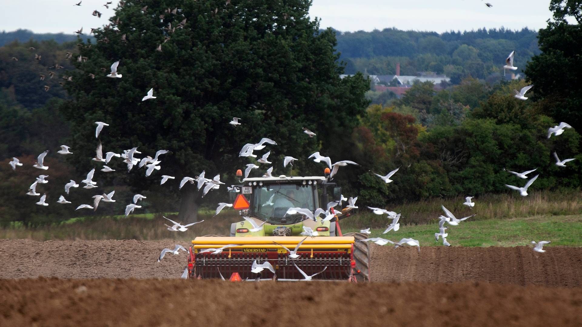 Et stort flertal af danskerne mener, at landbruget i dag fylder tilpas. | Foto: Finn Frandsen