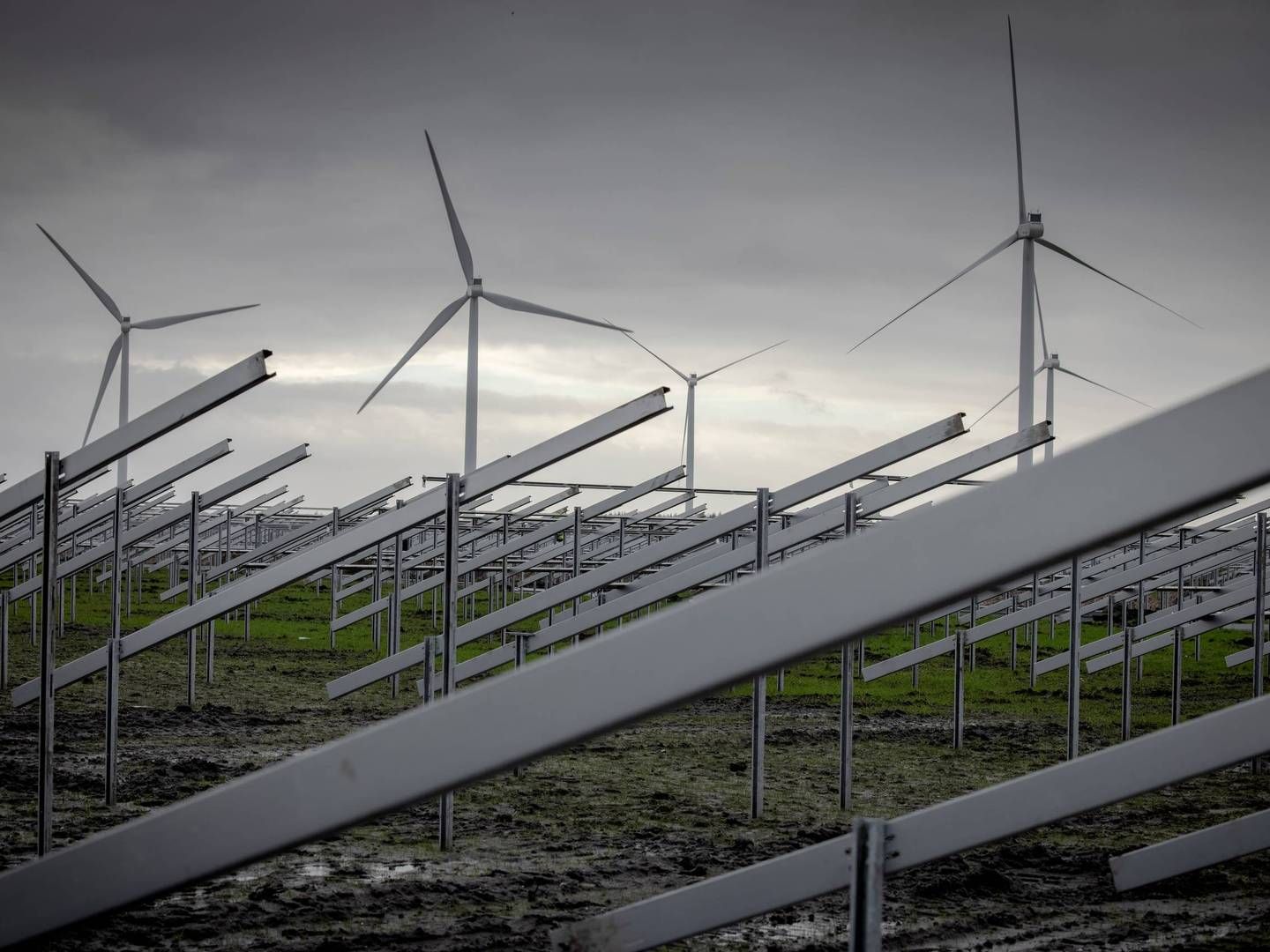 Kalundborg Kommune bruger for lang tid på at behandle ansøgninger om solceller, lyder det fra to godsejere. | Foto: Casper Dalhoff