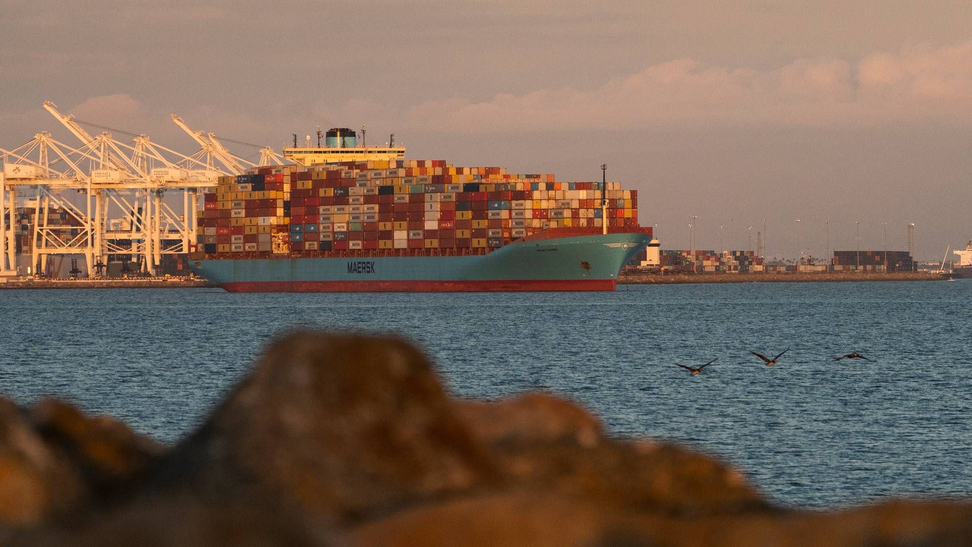 Arkivfoto. Billedet viser et Mærsk-skib i amerikansk farvand, men har ellers ingen relation til de krænkelsessager, der bliver omtalt i artiklen. | Foto: Jon Nazca/Reuters/Ritzau Scanpix