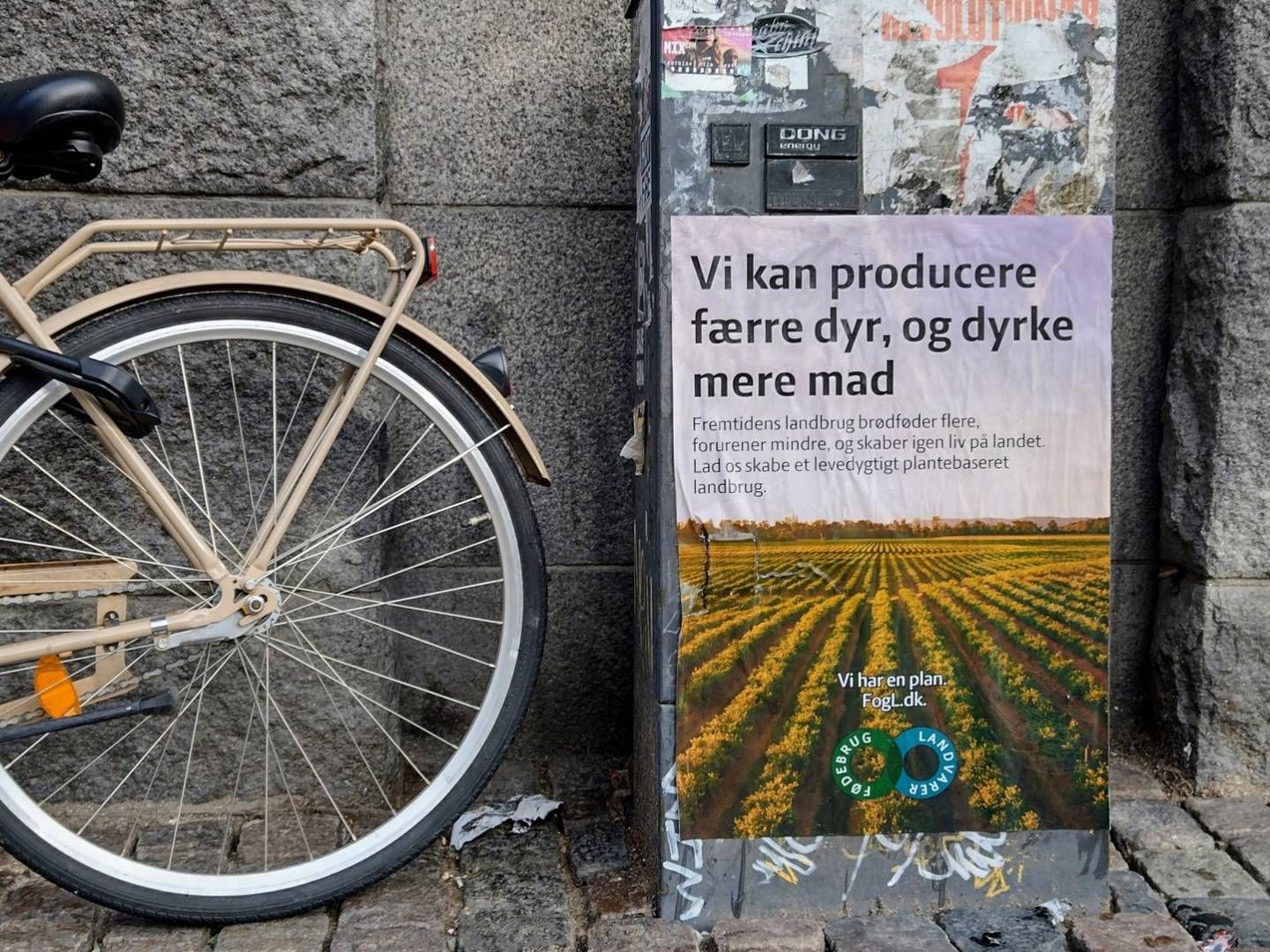 Pressefoto | Foto: Fødebrug og Landvarer / PR