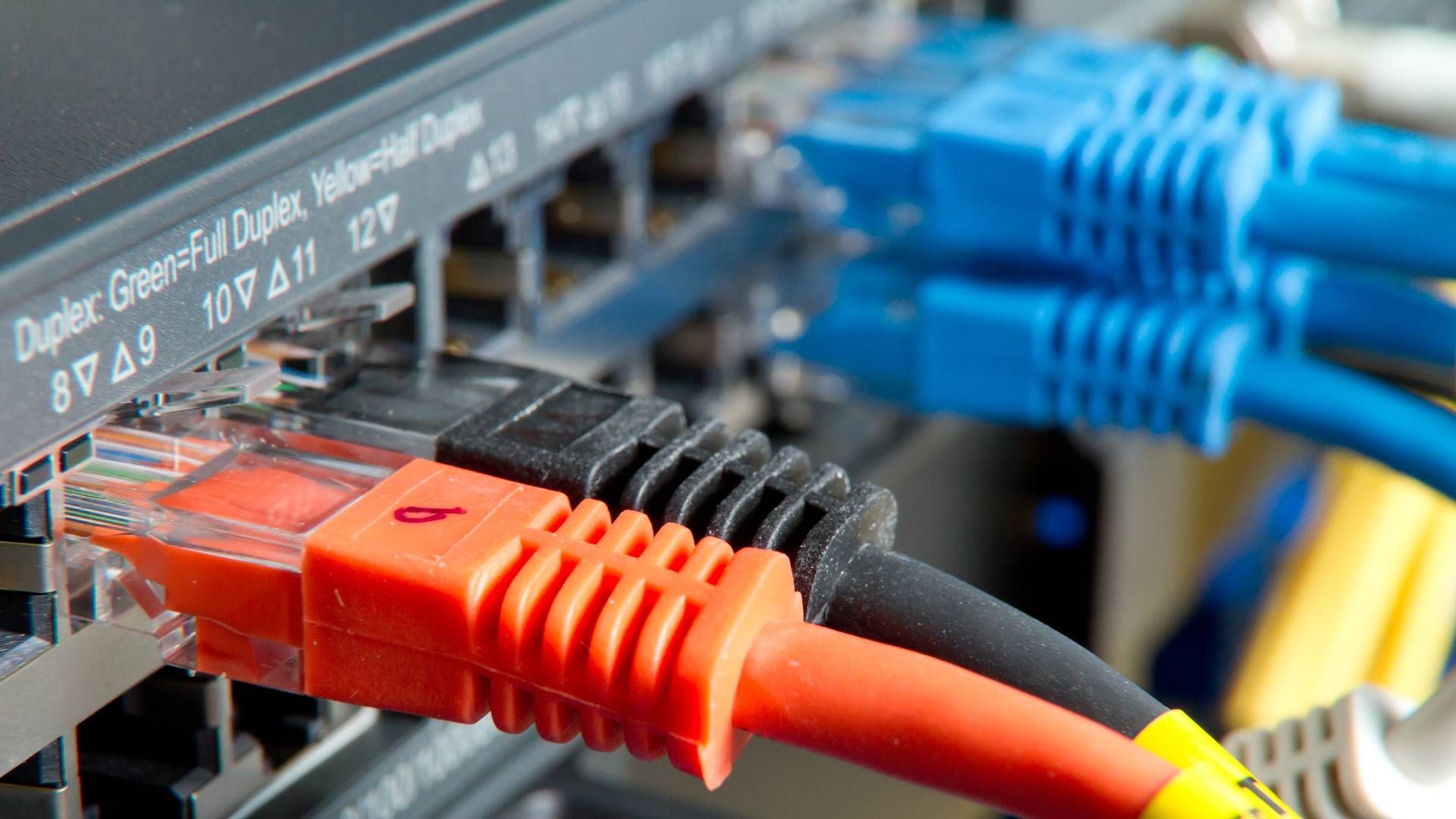 Xena Networks har specialiseret sig i udstyr til test af kommunikationsnetværk | Foto: Colour Box
