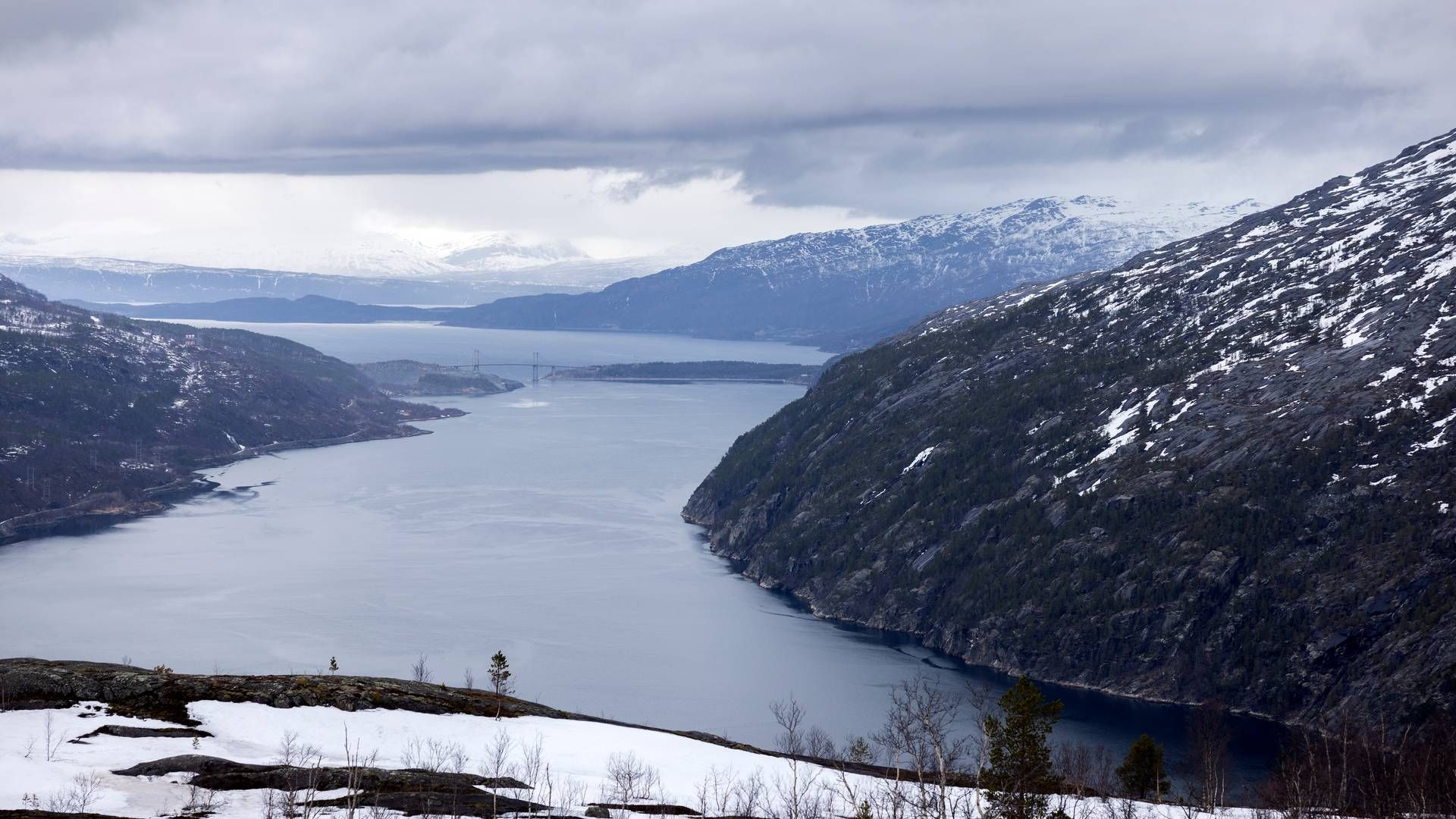 Statkraft og Aker Horizons er gået sammen om et ammoniakprojekt i Narvik. | Foto: Thomas Borberg