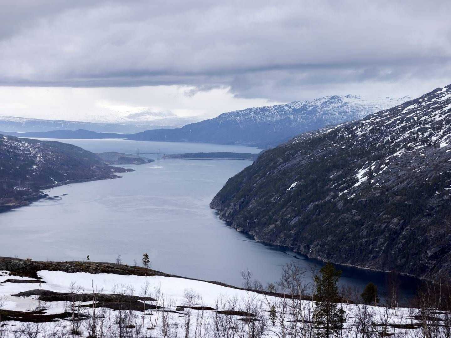 Statkraft og Aker Horizons er gået sammen om et ammoniakprojekt i Narvik. | Foto: Thomas Borberg