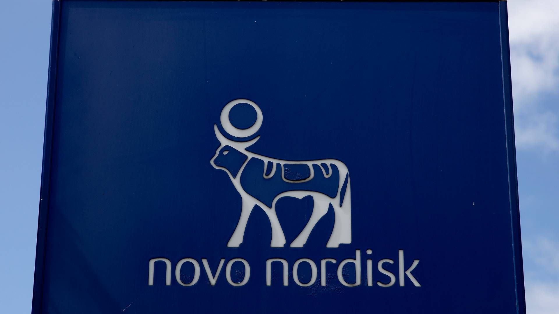 Novo Nordisk køber et blodtryksmiddel i fase 3. | Foto: Finn Frandsen