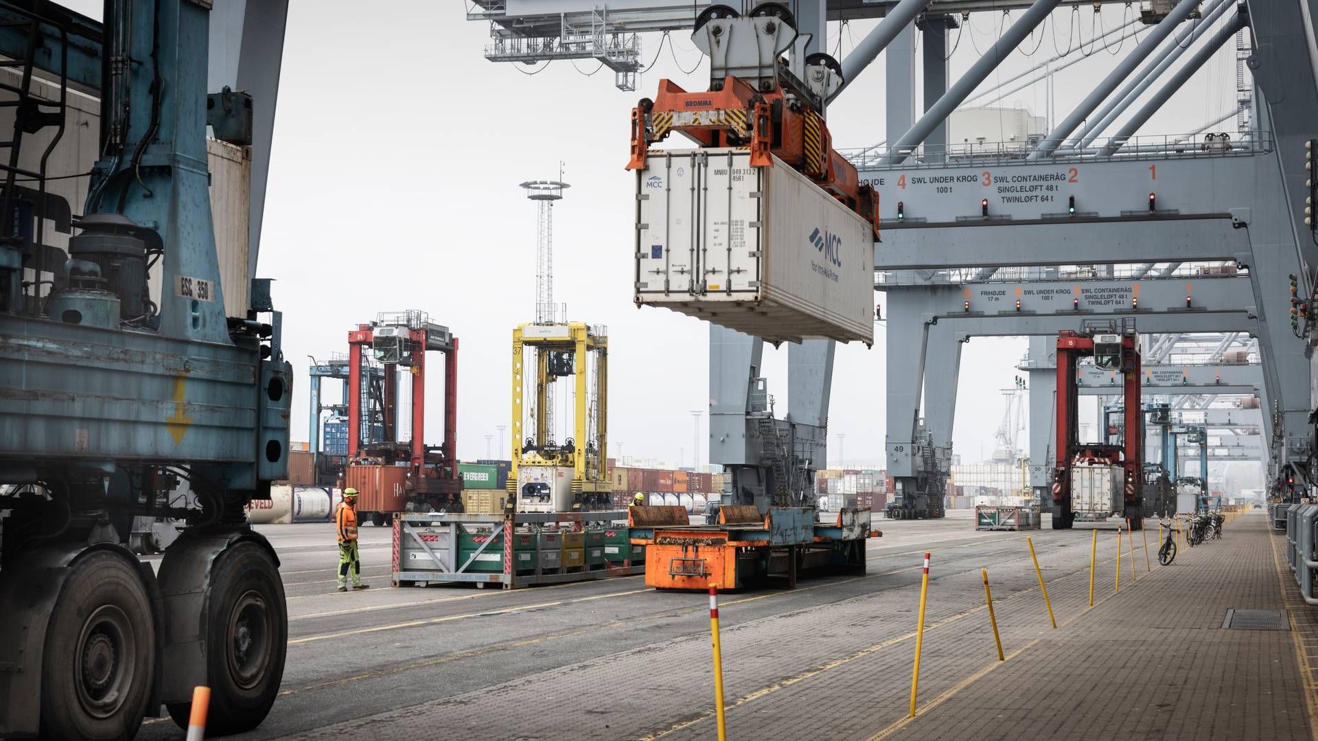 APM Terminals driver en containerterminal på Aarhus Havn. I august advarede virksomheden om, at rockere på havnen udgør en sikkerhedsrisiko. | Foto: Casper Dalhoff/Ritzau Scanpix