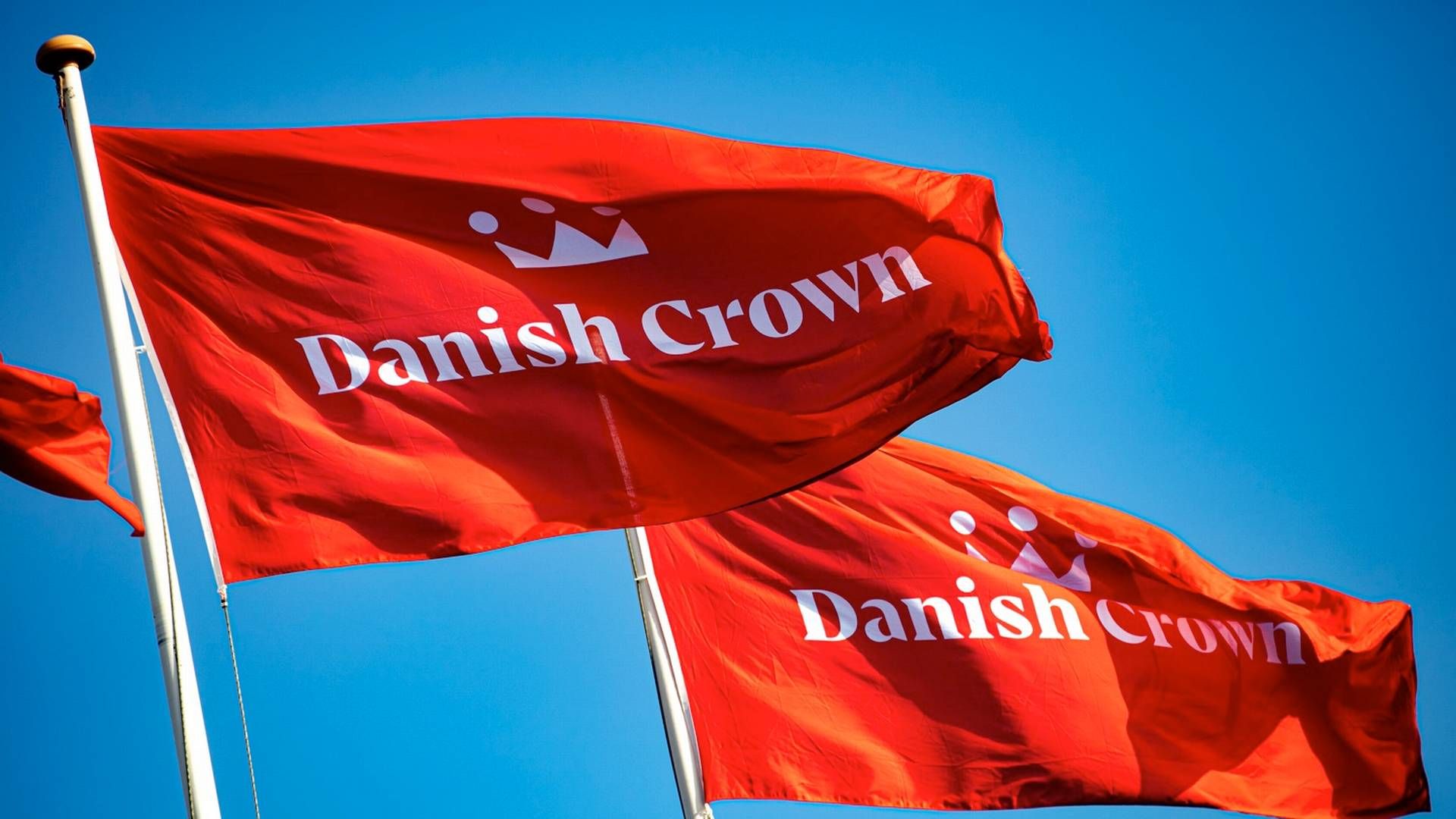 Slagteri- og kødkoncernen Danish Crown blev stævnet 4. juni 2021. | Foto: Pr