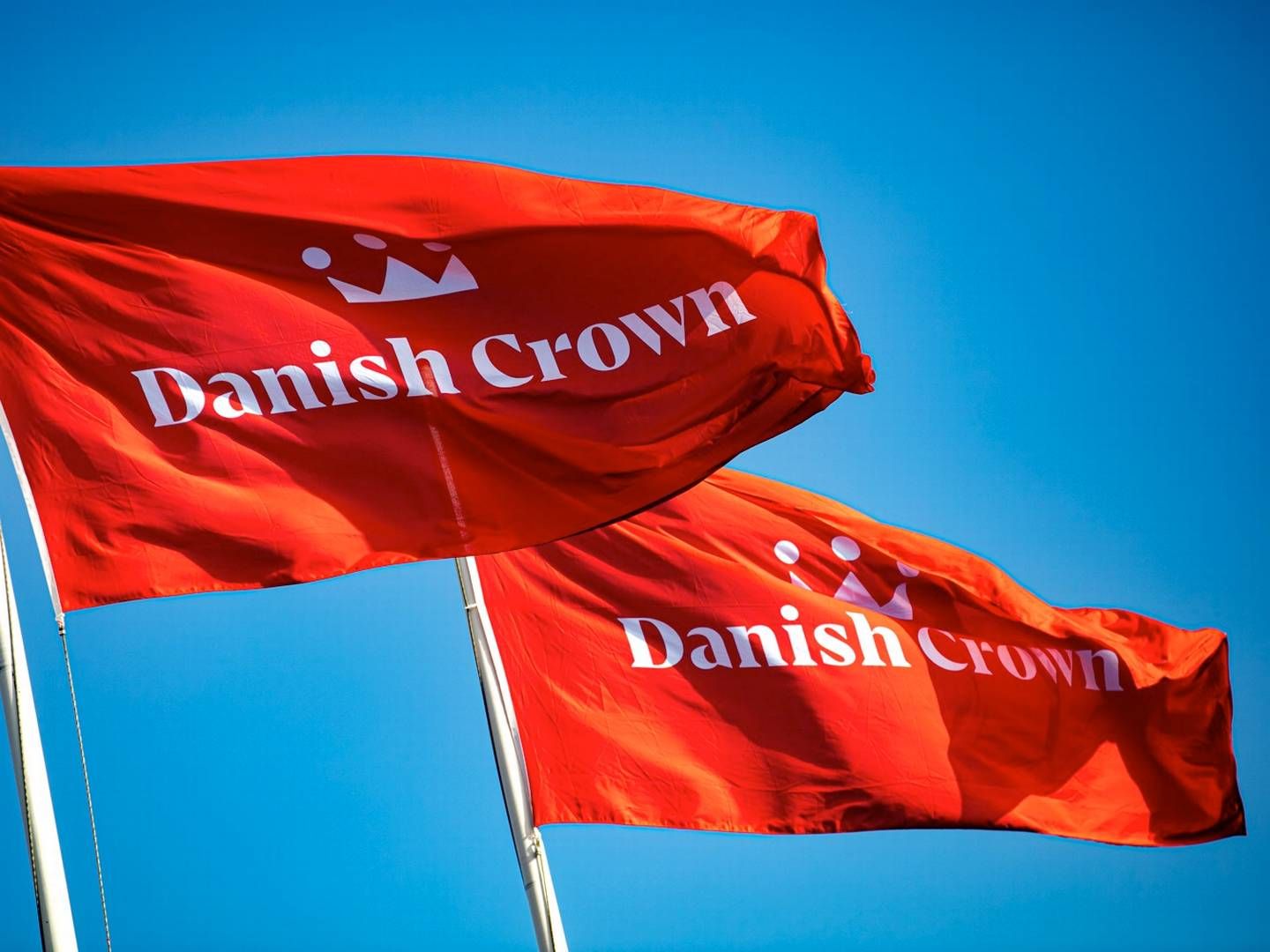 Slagteri- og kødkoncernen Danish Crown er blevet stævnet for brug af udsagnet ”Dansk gris er mere klimavenlig, end du tror” og betegnelsen ”Klimakontrolleret gris”. | Foto: Pr