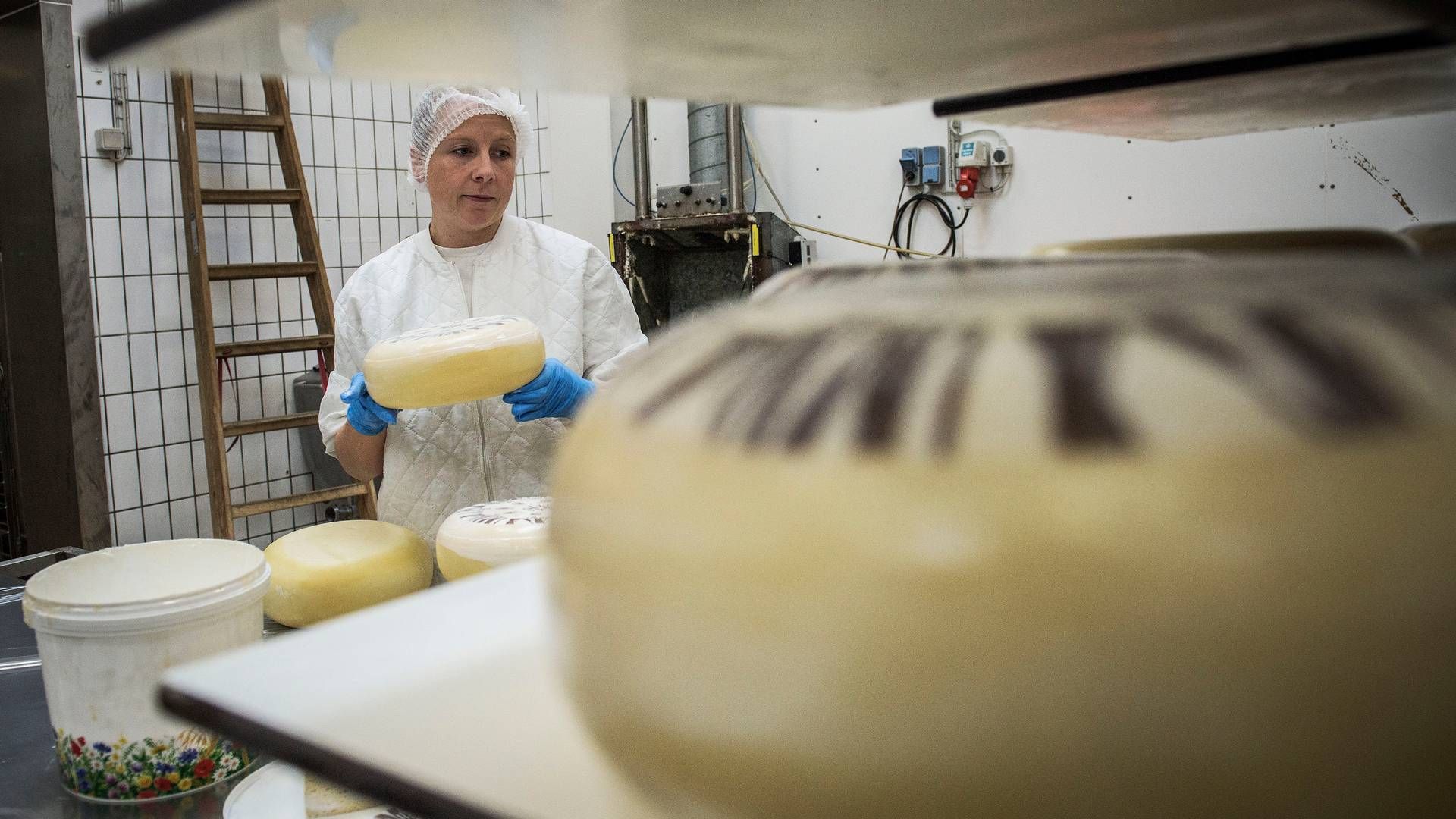 Naturmælk har plads til lidt større leverancer fra andelshaverne, så det kan blive til ost og smør i Tinglev. | Foto: Casper Dalhoff
