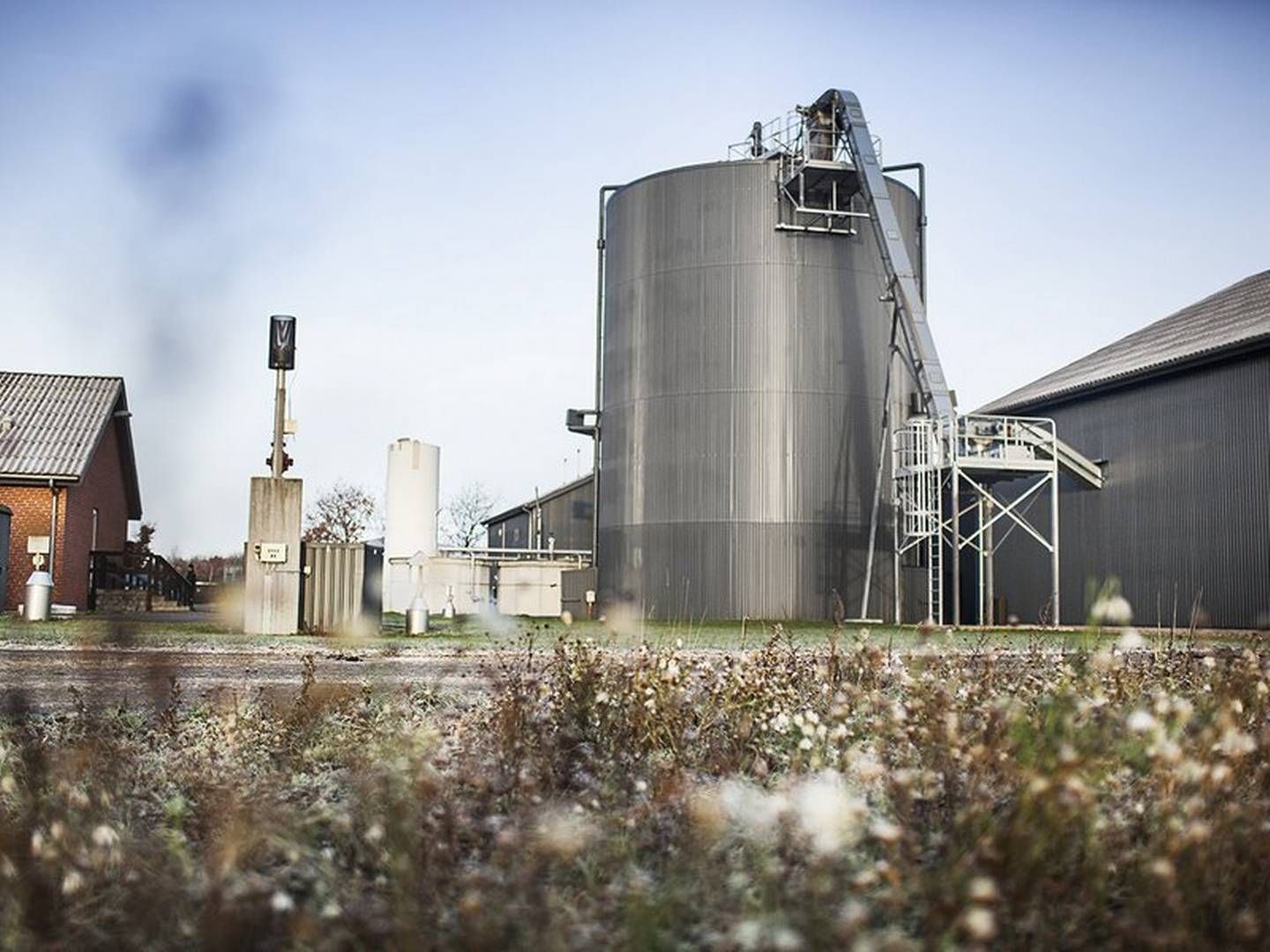 Forskningscenteret i Foulum har tidligere beskæftiget sig med bl.a. metanisering. Arkivfoto. | Foto: Au Foto