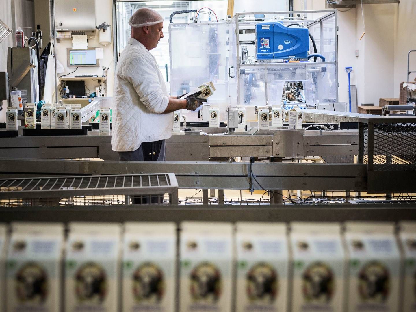 Selv om forbrugerne skriger på klimahandling fra landbruget, er det svært at hente merpriser hjem på mejeriprodukter, der har klima og bæredygtighed som parametre, mærker Naturmælk. | Foto: Casper Dalhoff