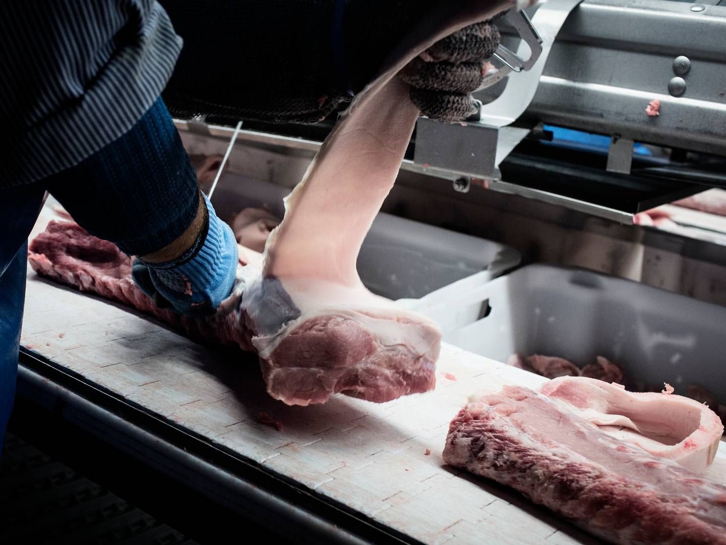 Den kinesiske appetit for svinekød stiger tilsyneladende. | Foto: Thomas Emil Sørensen