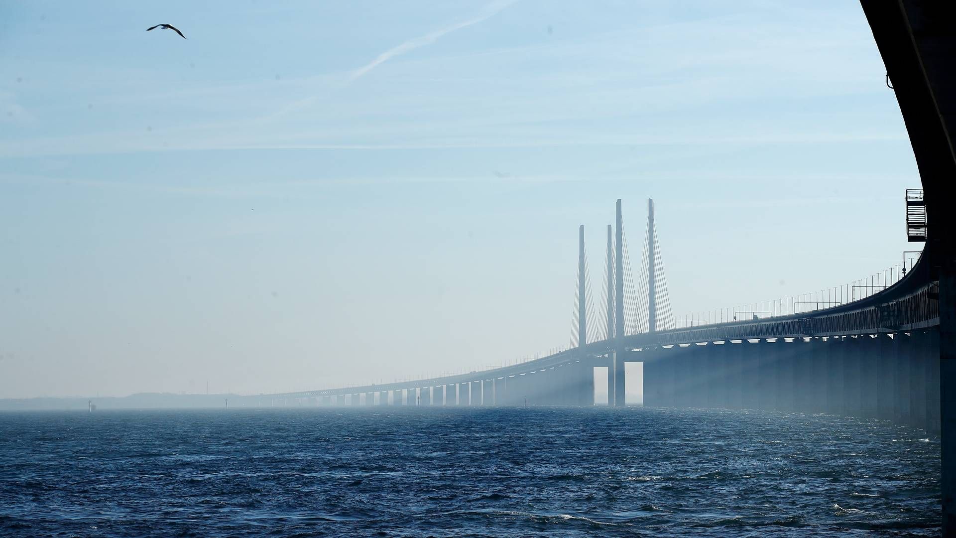 Øresundsbroen vil være "verdens mest bæredygtige bro". | Foto: Jens Dresling/Ritzau Scanpix