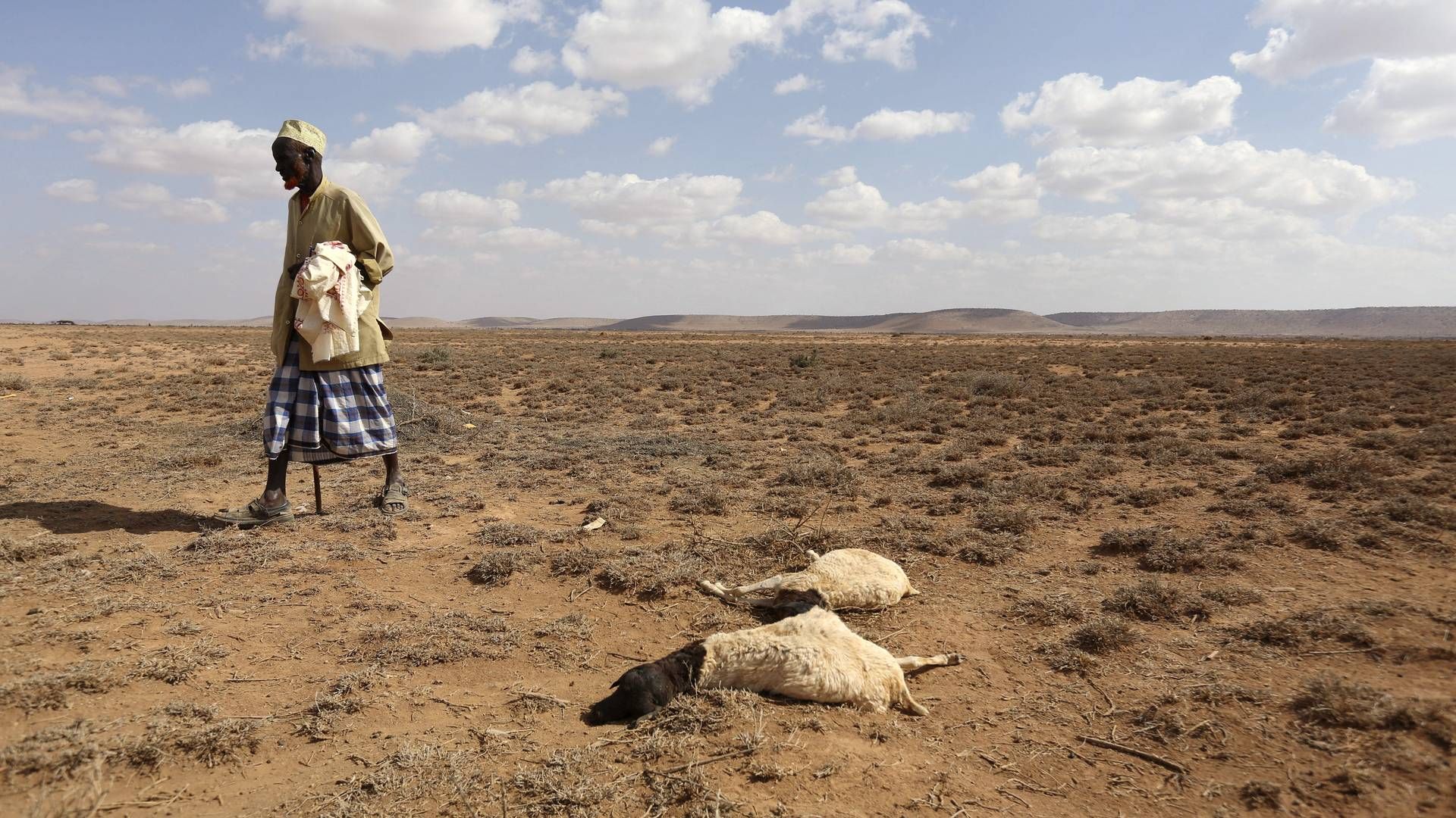 El Niño har tidligere ført til tørke flere steder, som f.eks. her i Somalia i 2016. Arkivfoto. | Foto: Feisal Omar/Reuters/Ritzau Scanpix