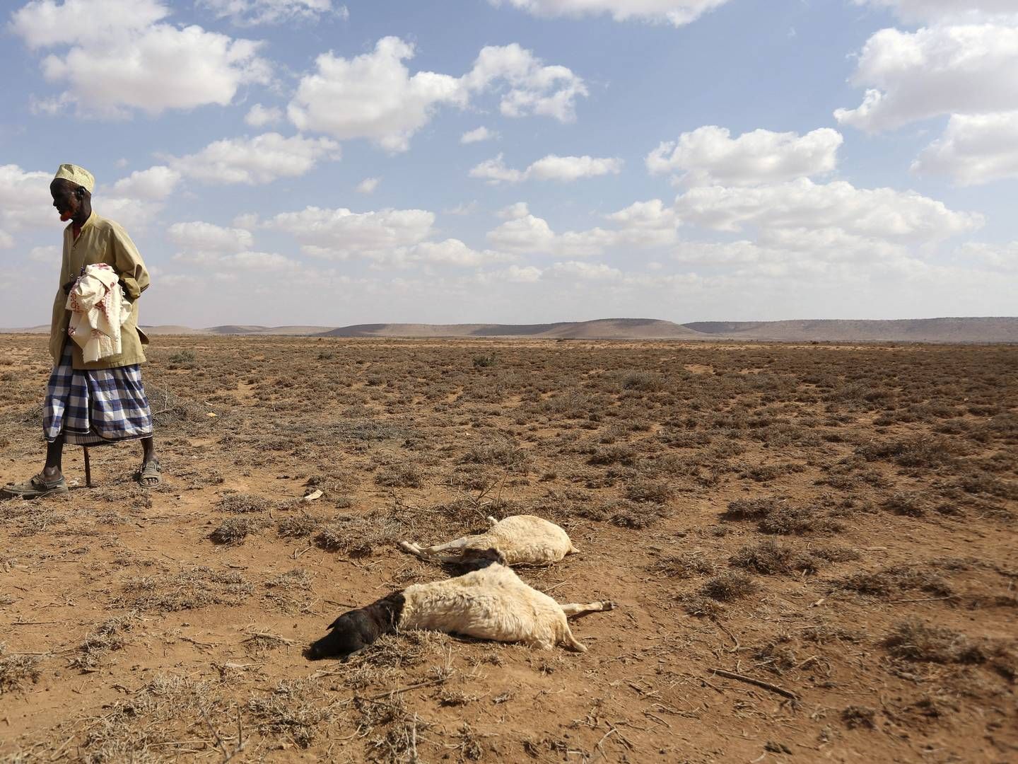 El Niño har tidligere ført til tørke flere steder, som f.eks. her i Somalia i 2016. Arkivfoto. | Foto: Feisal Omar/Reuters/Ritzau Scanpix