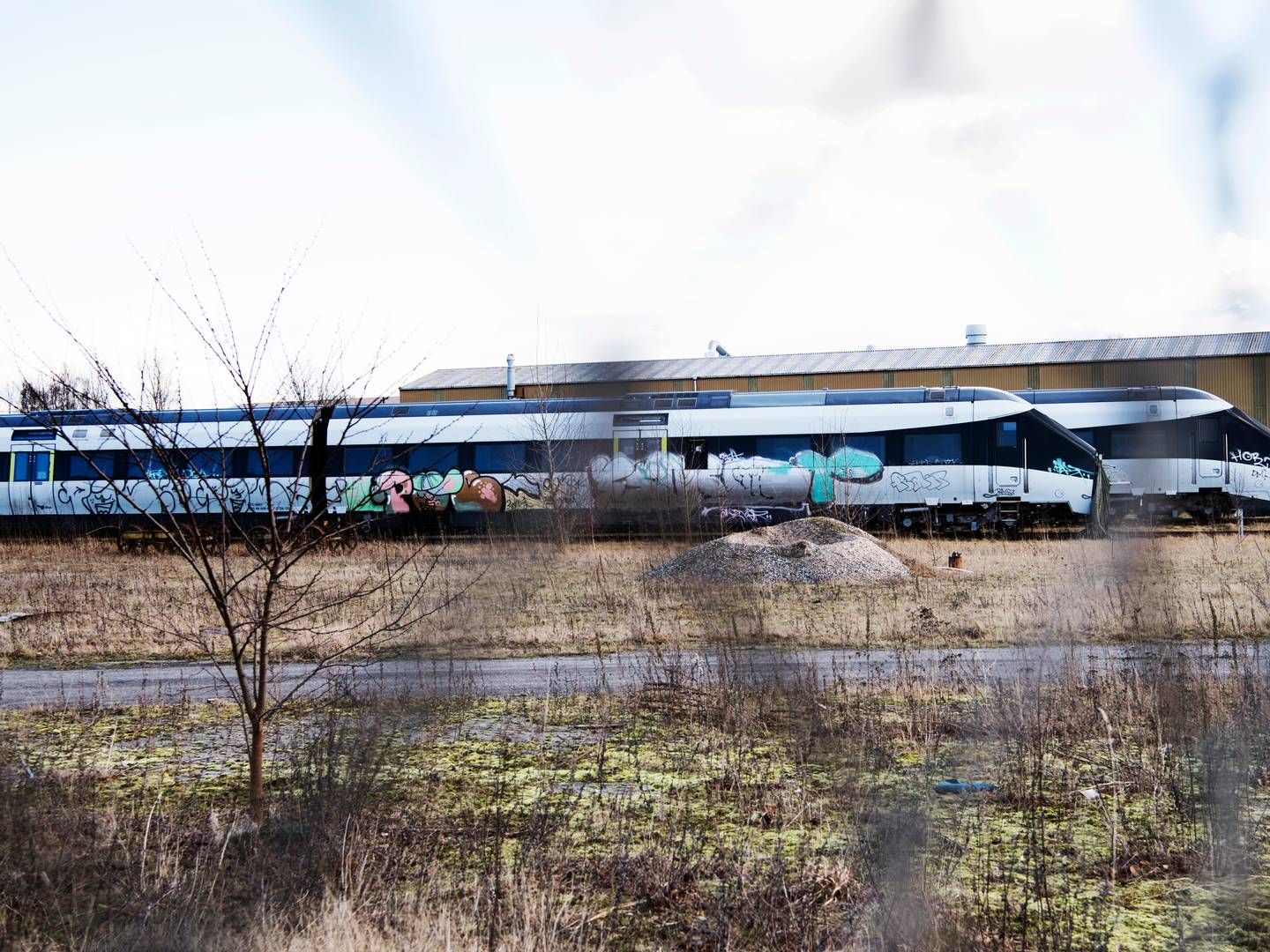 DSB bekræfter nu, at selskabet har solgt sine IC4-tog til Rumænien | Foto: Tycho Gregers/Ritzau Scanpix