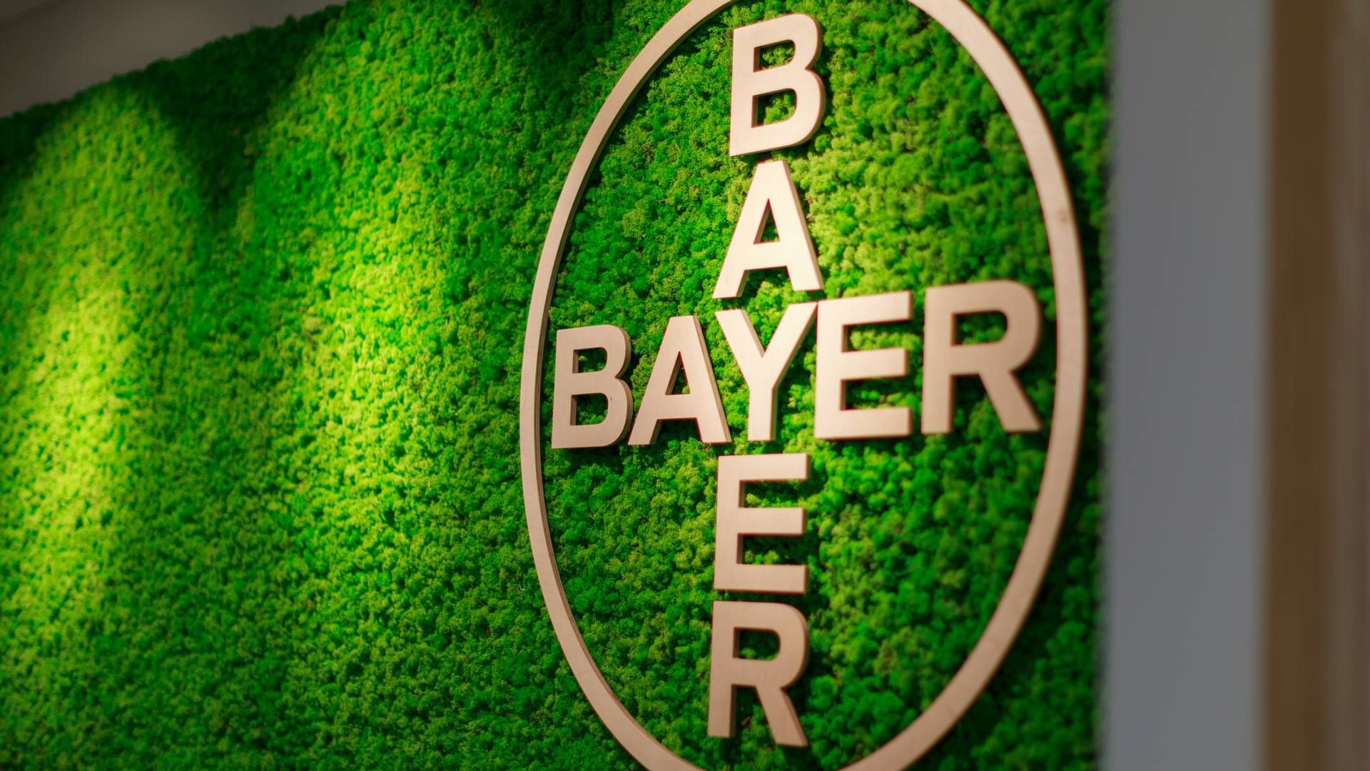 Foto: Bayer / Pr