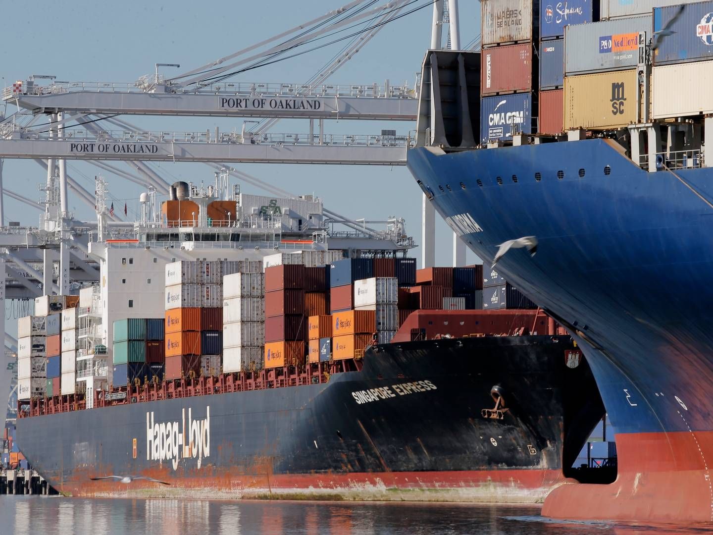 De seneste 12 måneder har Federal Maritime Commission (FMC) afsluttet 36 klagesager over rederier. | Foto: Michael Macor/AP/Ritzau Scanpix