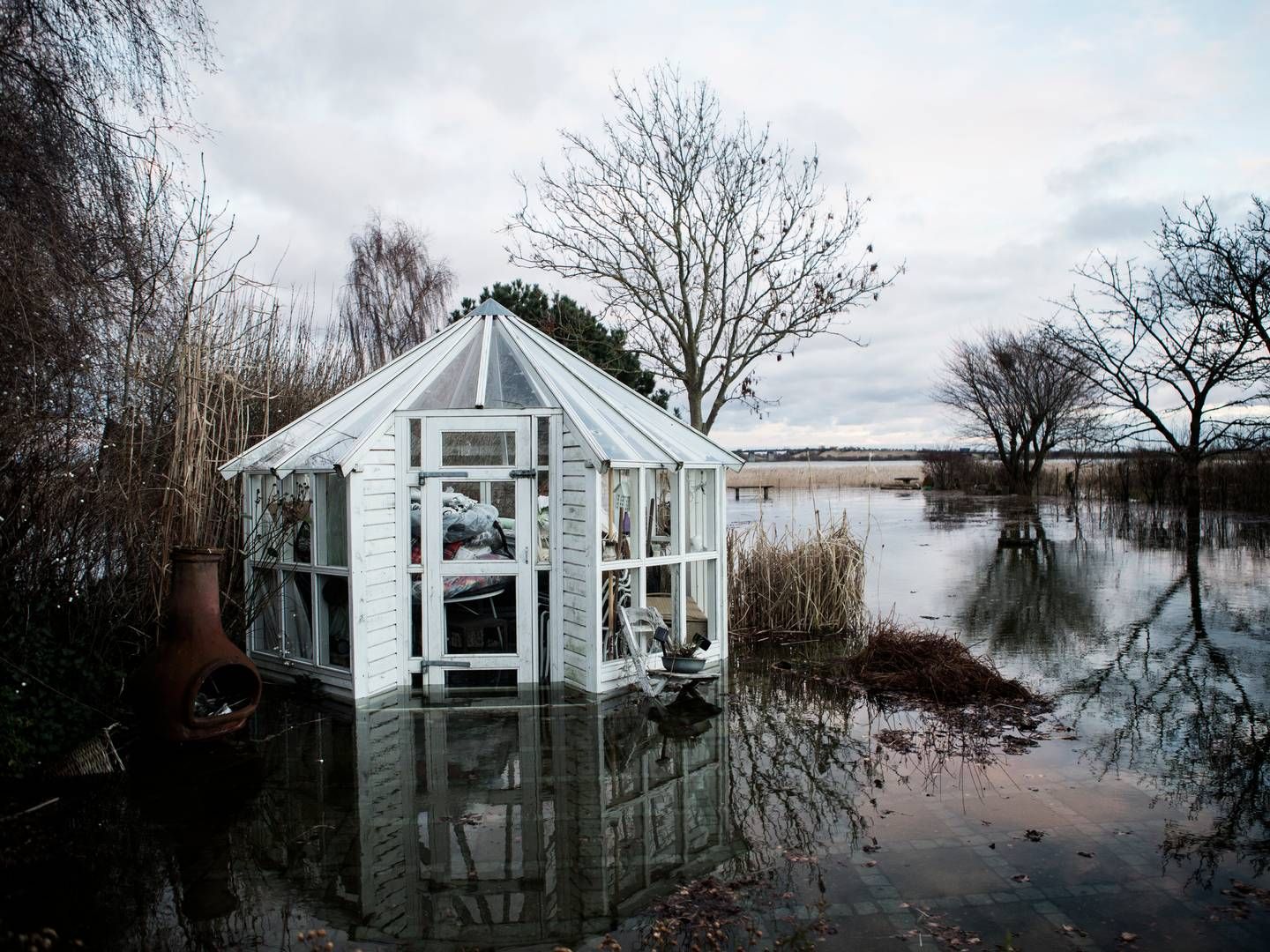 Foto: Rune Aarestrup Pedersen/Ritzau Scanpix