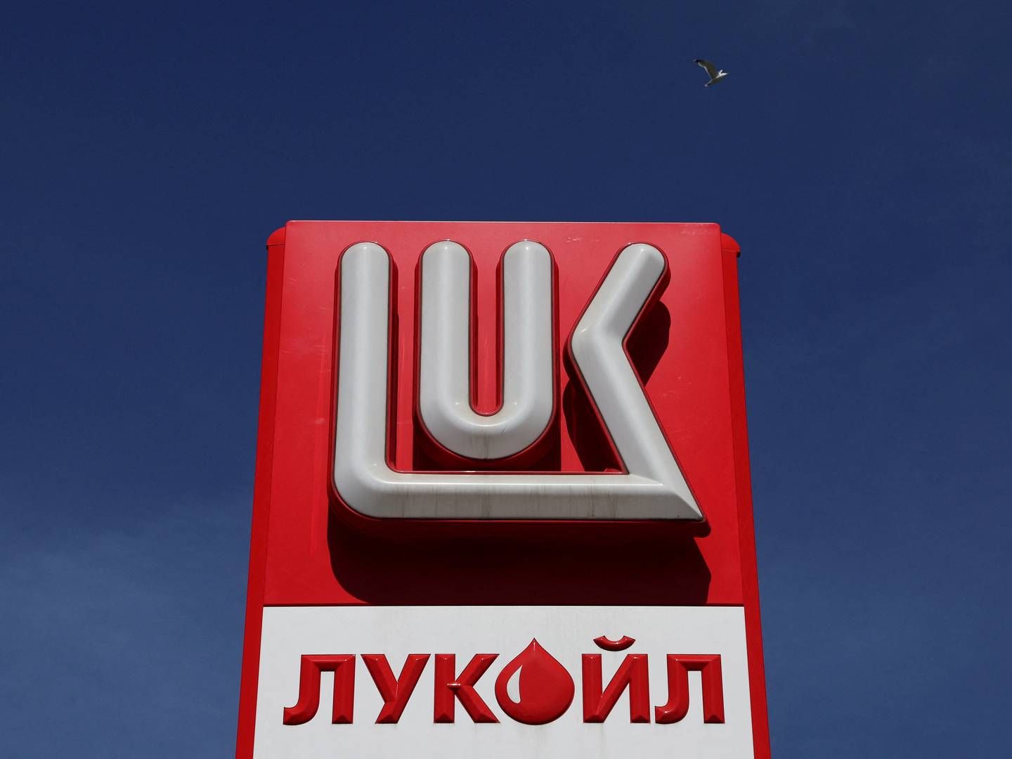 Lukoil producerer mere end 2 pct. af verdens råolie og beskæftiger mere end 100.000 personer. | Foto: Anton Vaganov