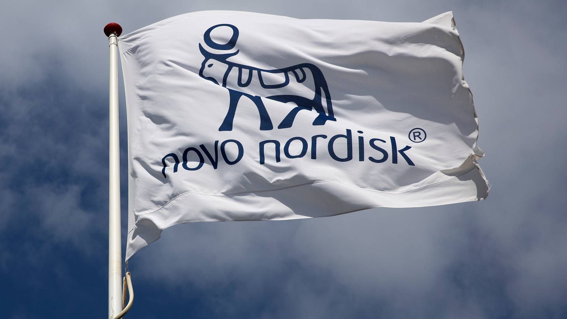 Novo Nordisk distancerer sig klart fra andenpladsen i imagemåling, lyder det fra adm. dirketør i IFO. | Foto: Finn Frandsen