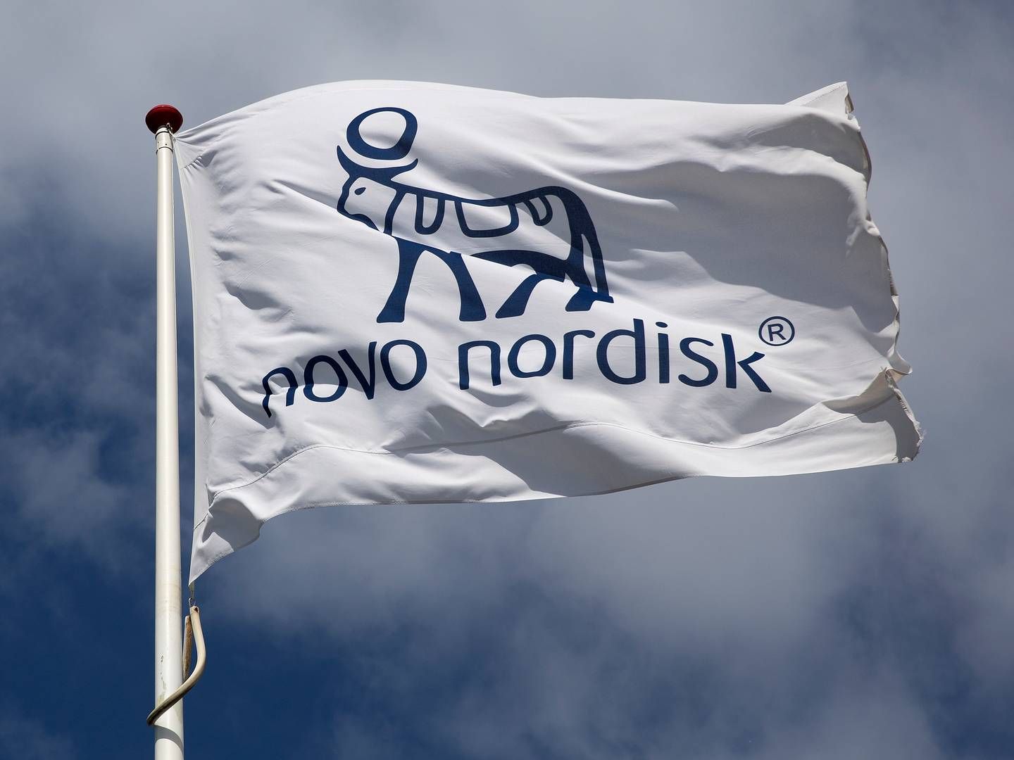 Novo Nordisk distancerer sig klart fra andenpladsen i imagemåling, lyder det fra adm. dirketør i IFO. | Foto: Finn Frandsen