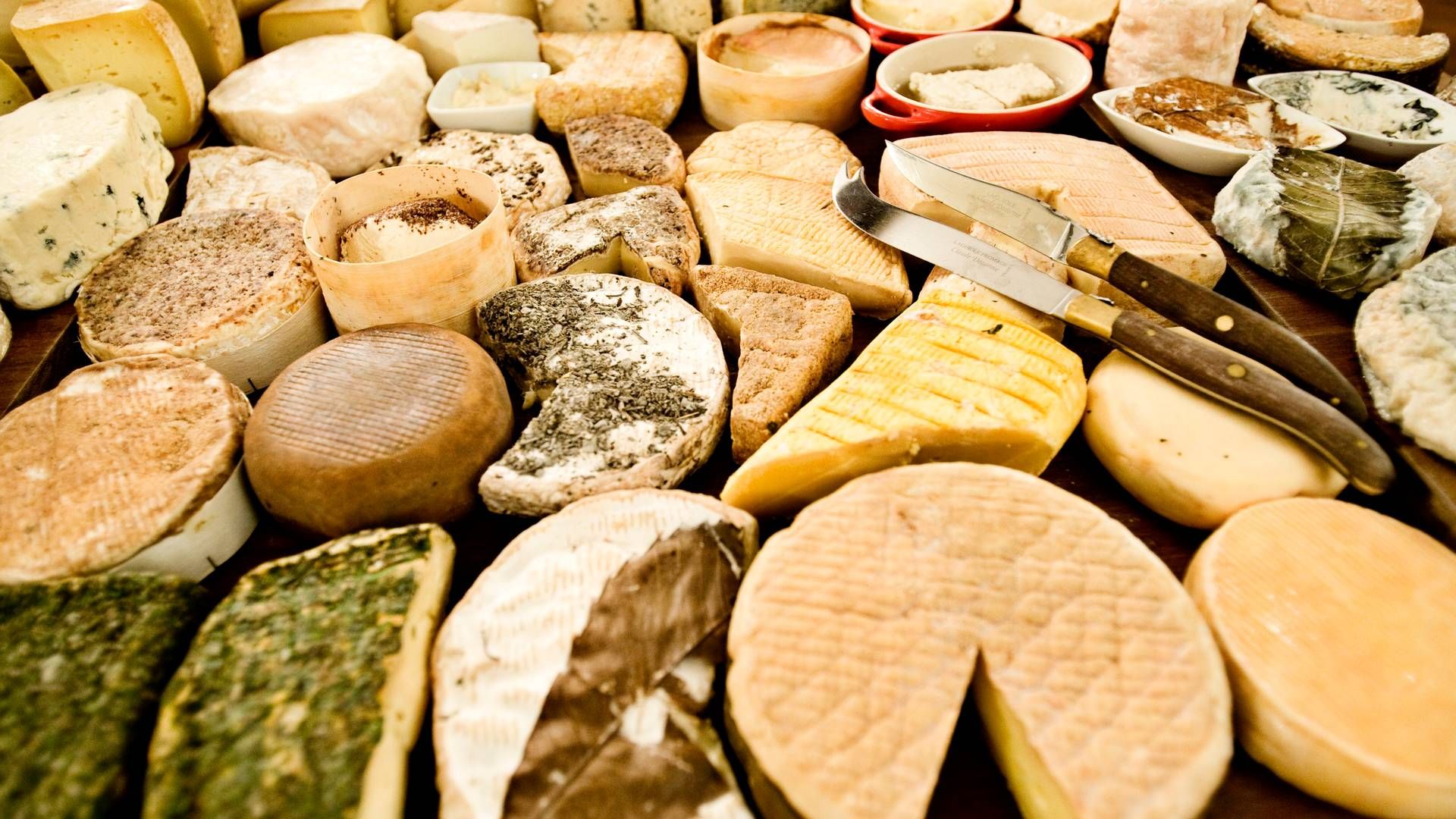 De bornholmske oste kommer verden rundt. Andelsmejeriet må dog nu droppe biogasprojekt til restproduktet permeat. | Foto: Valdemar Jørgensen
