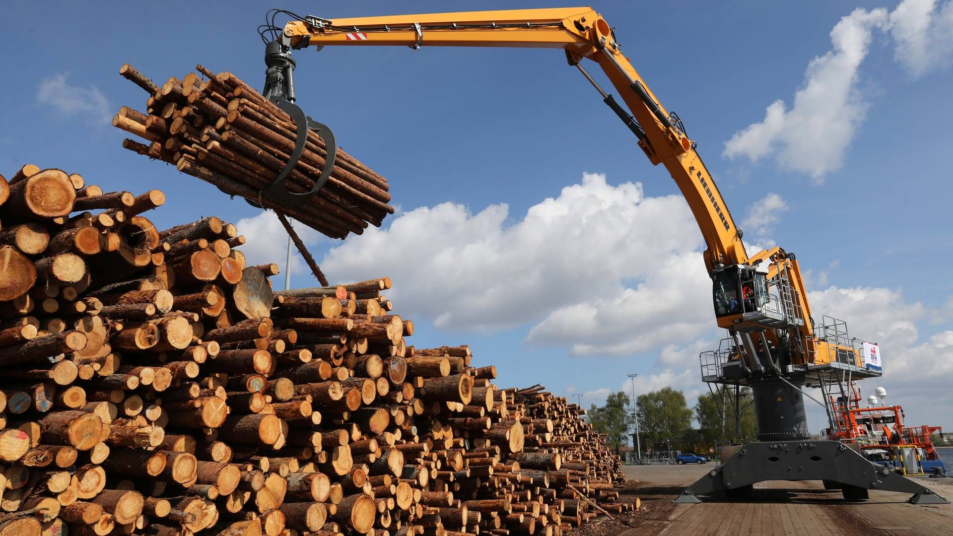 Sverige har i første halvdel af 2023 sendt ti pct. mere tømmer ud af landet end i samme periode sidste år, og året er generelt på vej til at sætte ny rekord. | Foto: Bernd Wstneck/AP/Ritzau Scanpix
