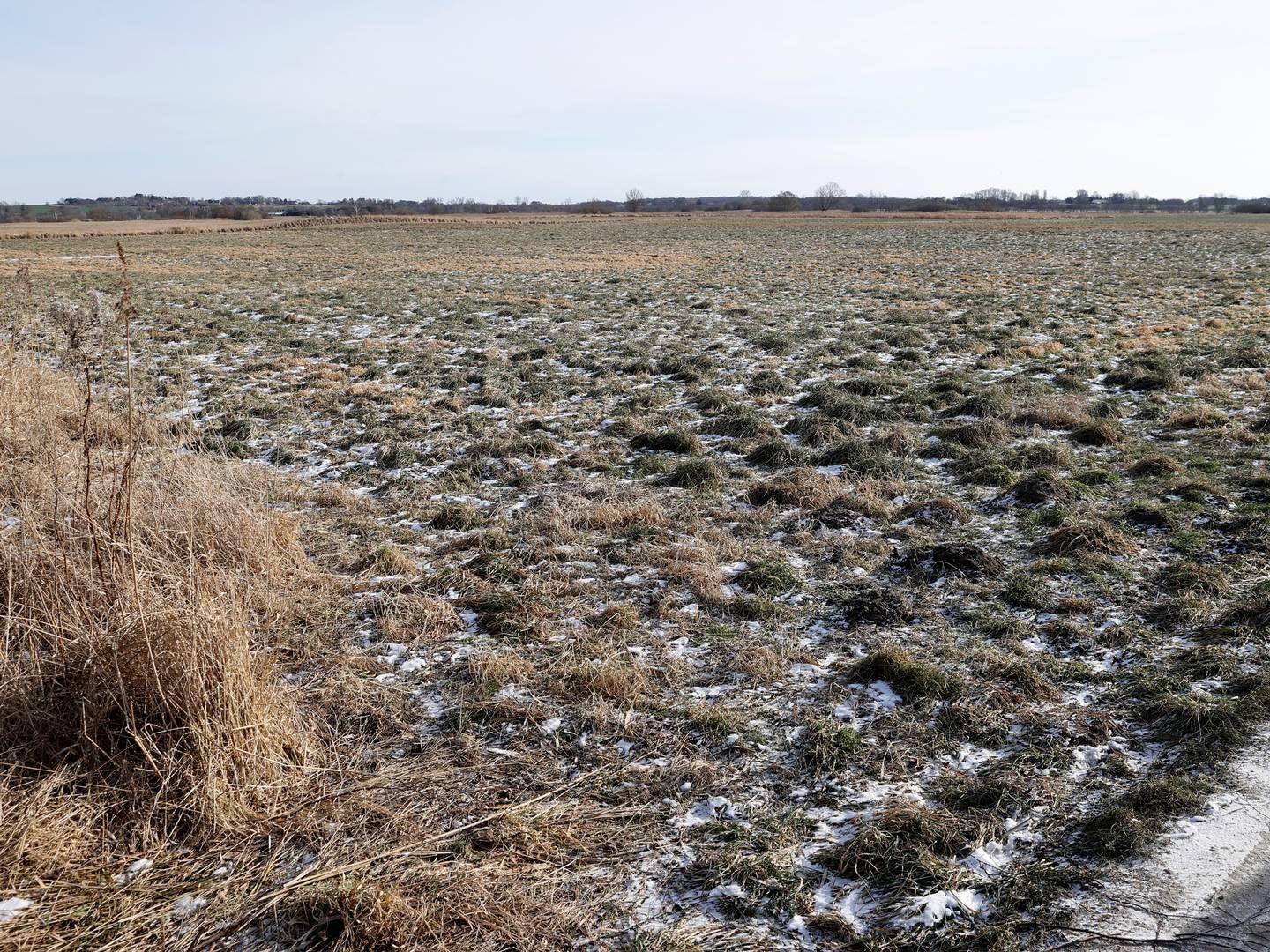 Lavbundsjorde ved Søborg Sø udenfor Græsted. (Arkivfoto.) | Foto: Jens Dresling