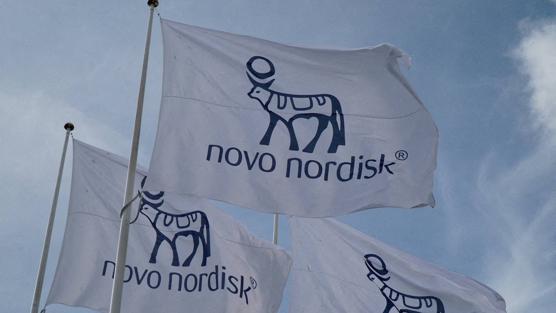 I 2022 havde Novo Nordisk hensat 2,4 mia. kr. til at betale for retssager, mens tallet for 2013 var 1,2 mia. kr. | Foto: Tom Little