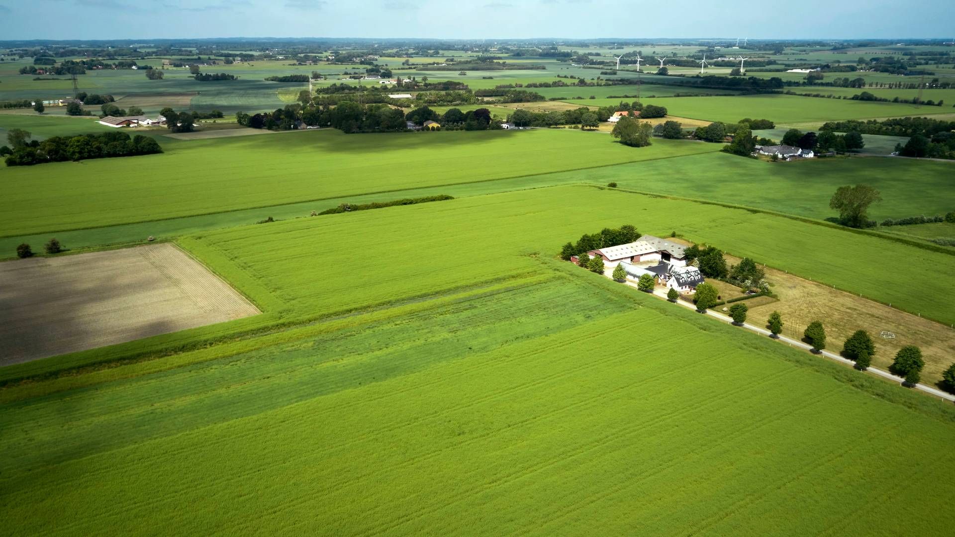 Newronix' systemer kan hjælpe landmænd med at energieffektivisere ved at koble landbrugets maskiner op på internettet. | Foto: Jens Dresling