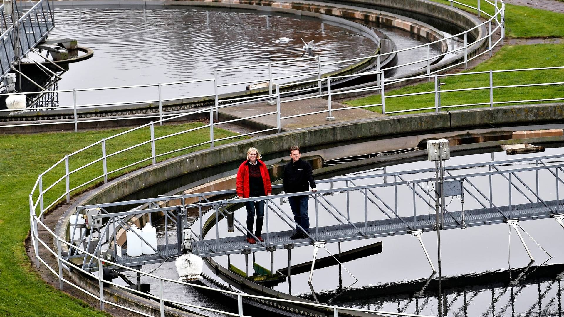 Viby Renseanlæg har kapacitet til at rense spildevand fra omkring 120.000 personer. | Foto: Ole Lind