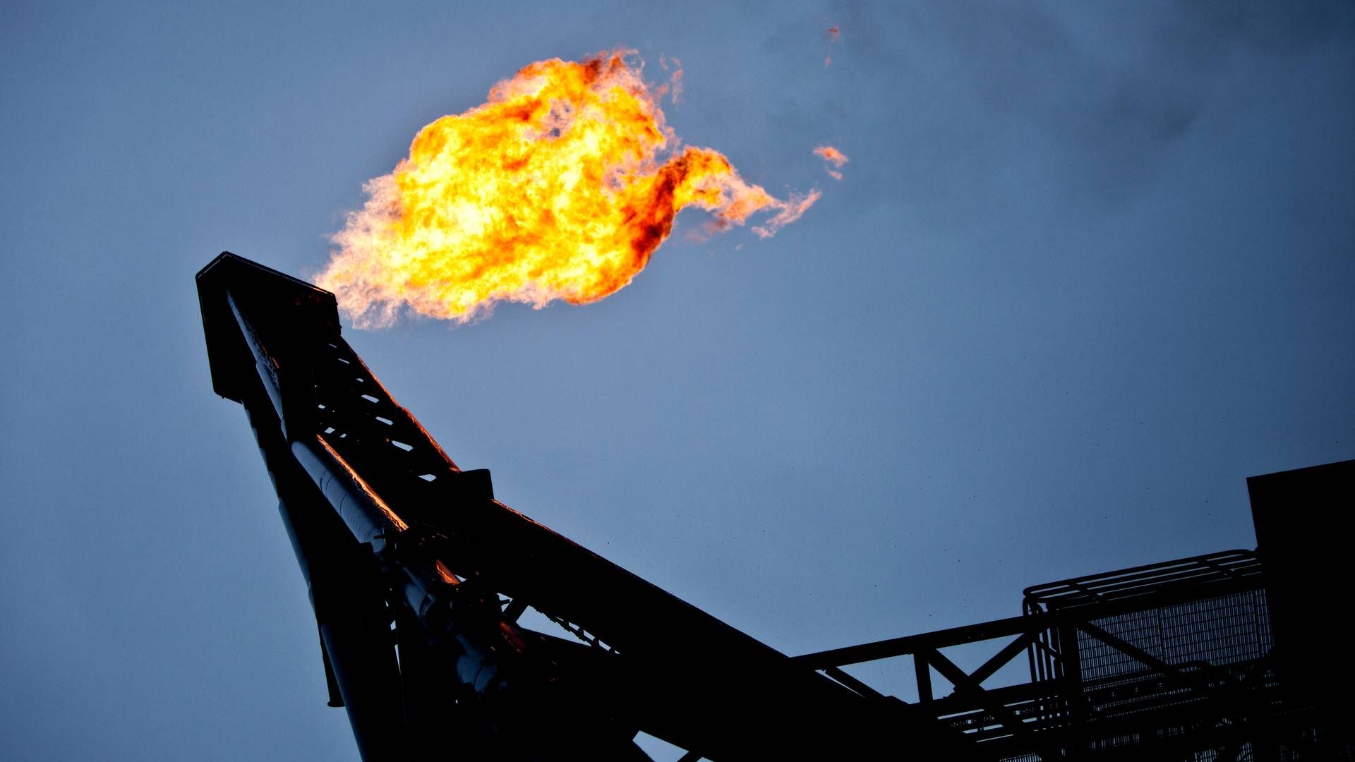 Saudi-Arabien bekræfter ifølge Reuters, at landet vil holde fast i sine frivillige nedskæringer af olieproduktionen på 1 mio. tønder om dagen i december | Foto: Magnus Holm/Politiken/Ritzau Scanpix