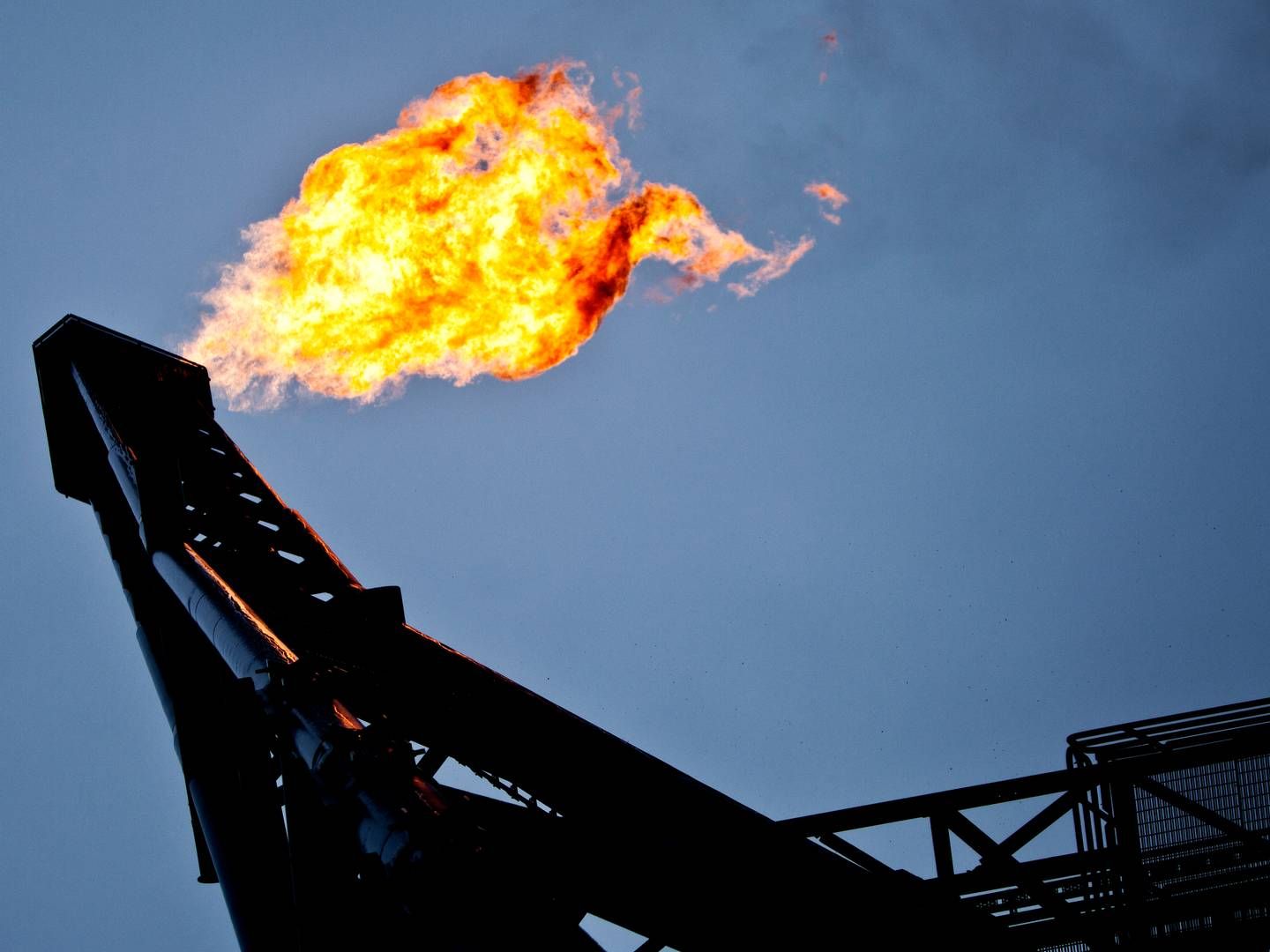 Saudi-Arabien bekræfter ifølge Reuters, at landet vil holde fast i sine frivillige nedskæringer af olieproduktionen på 1 mio. tønder om dagen i december | Foto: Magnus Holm/Politiken/Ritzau Scanpix