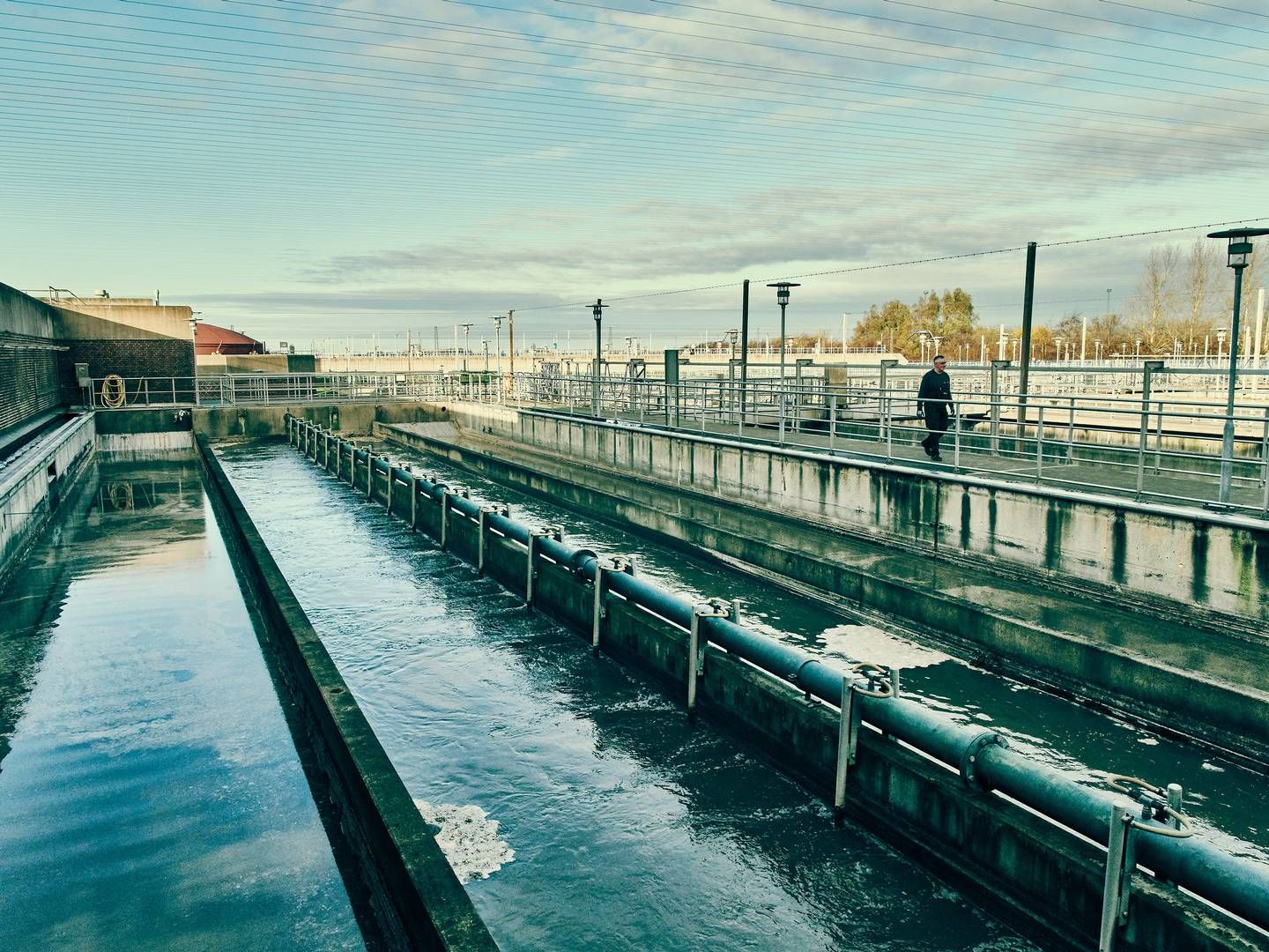 Aalborg Forsyning arbejder allerede på at nedbringe nitratniveauet ved at opkøbe jord, siger adm. direktør Søren Gais Kjeldsen til DR. | Foto: Aalborg Forsyning/pr