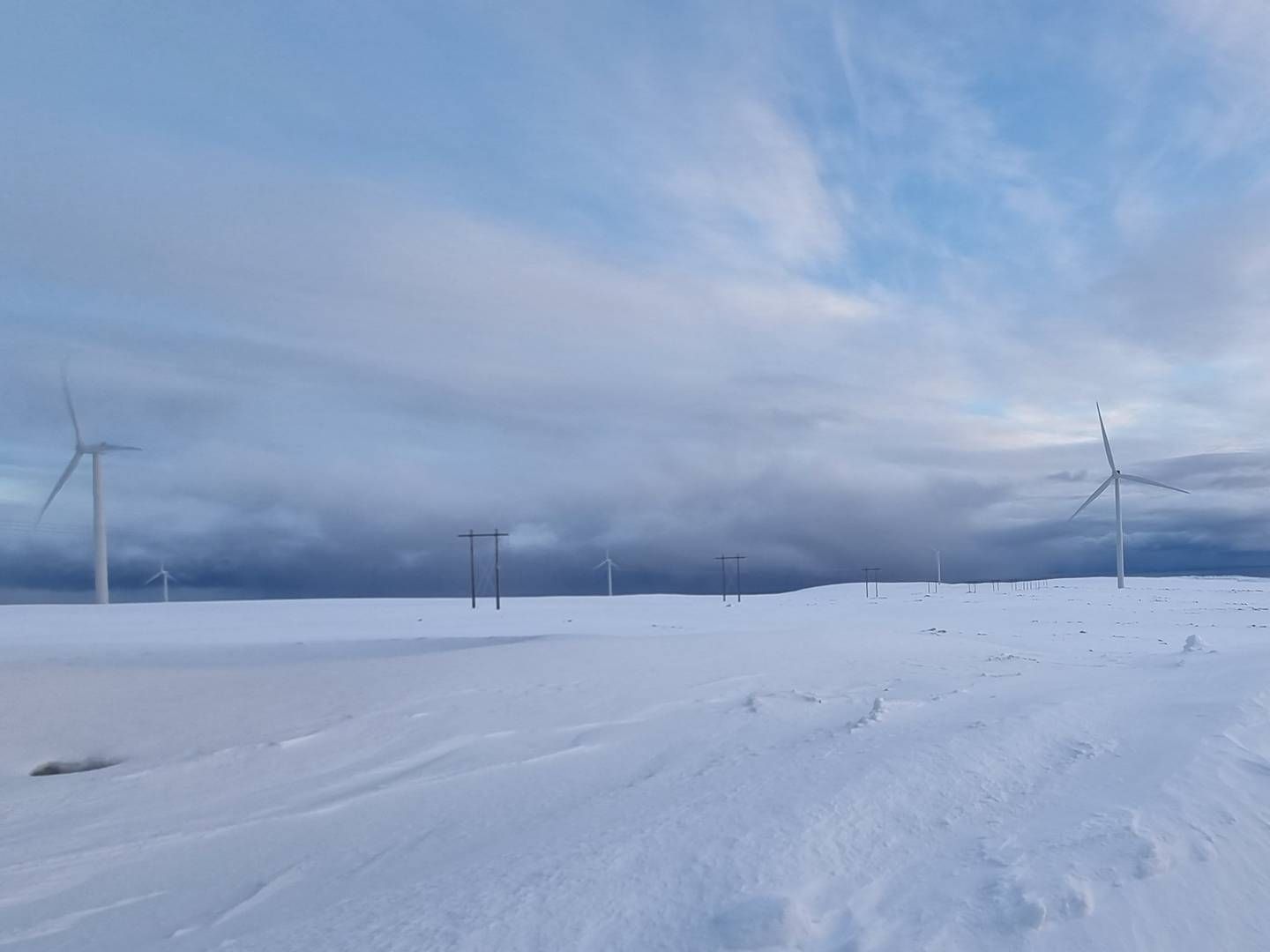 REKORD: Vindkraft stod for en tredjedel av den totale kraftproduksjonen i Norden forrige uke. Illustrasjonsbilde fra Raggovidda, populært kjent som Norges mest effektive vindkraftverk. | Foto: Linda Sandvik