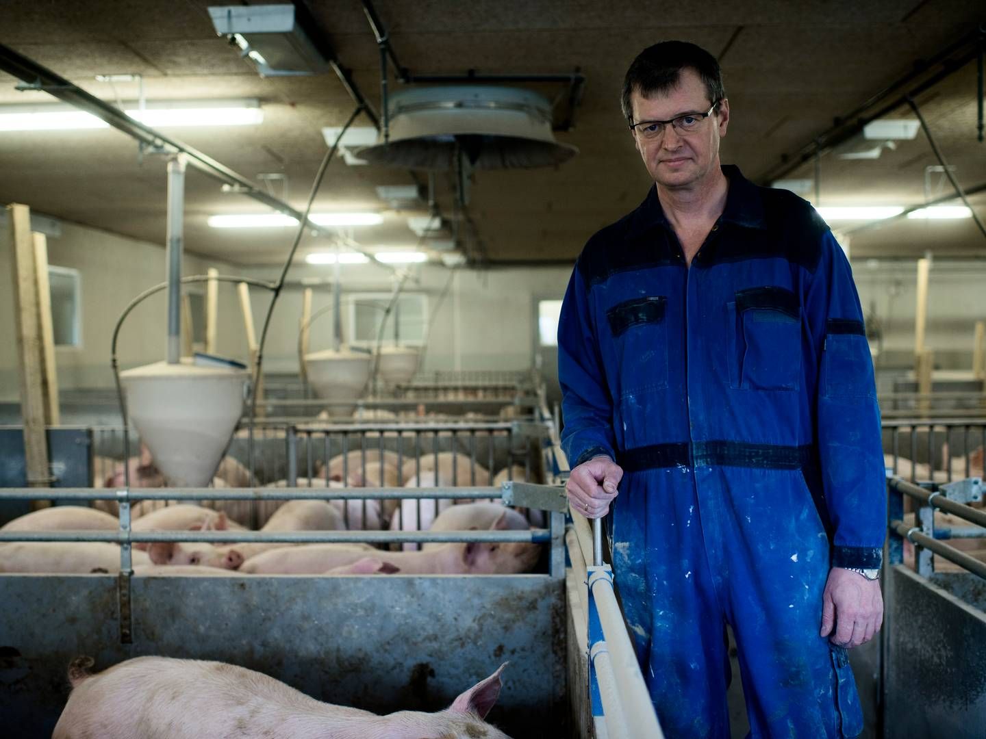 Erik Bredholt åbner for en ekstern bestyrelsesformand i Danish Crown. Han er selv svineproducent og har været en del af bestyrelsen i over 20 år. | Foto: Ida Munch