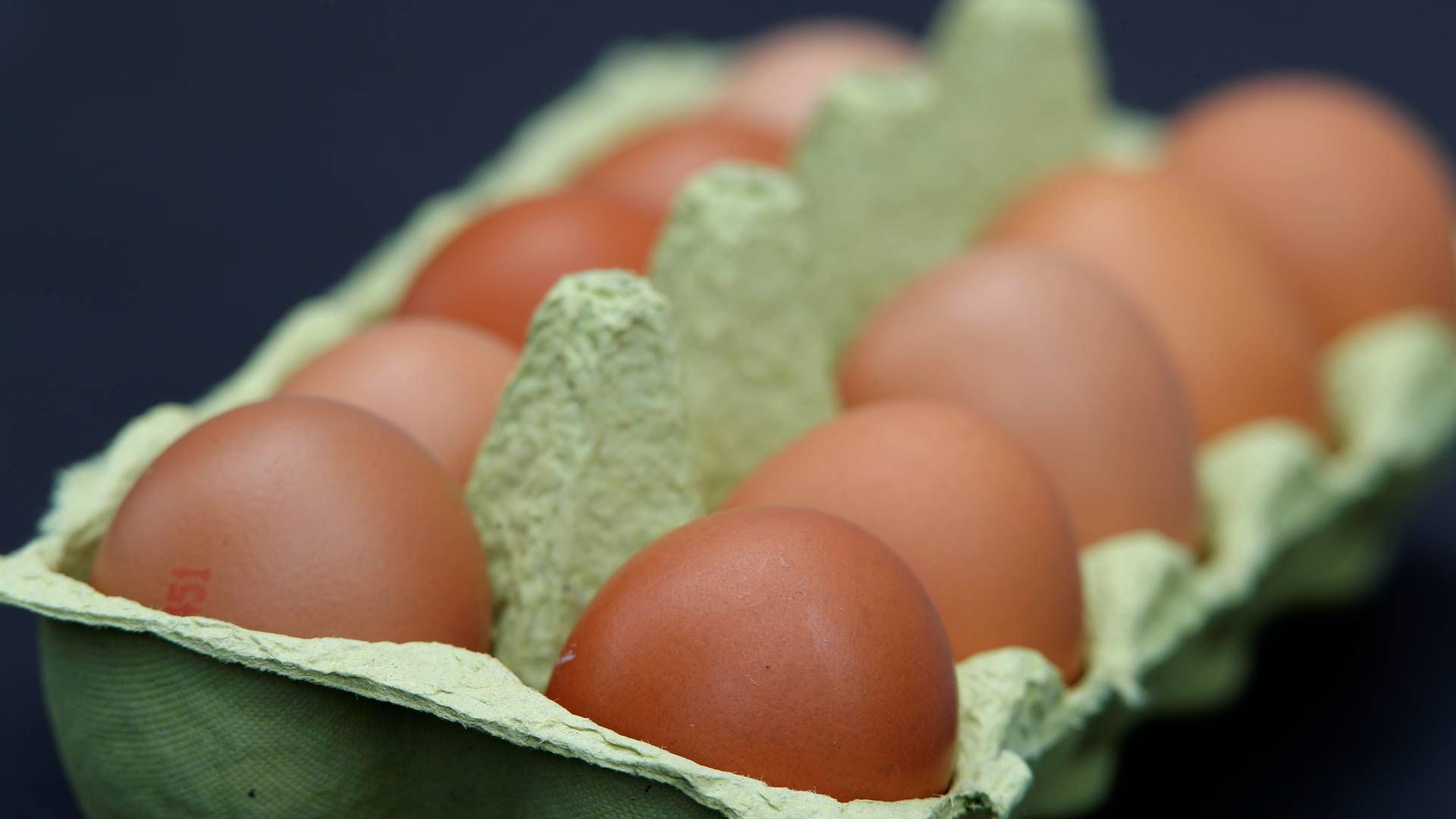 I en enkelt prøve fra æg blev der fundet rester af et fodertilsætningsstof. | Foto: Wolfgang Rattay/Reuters/Ritzau Scanpix