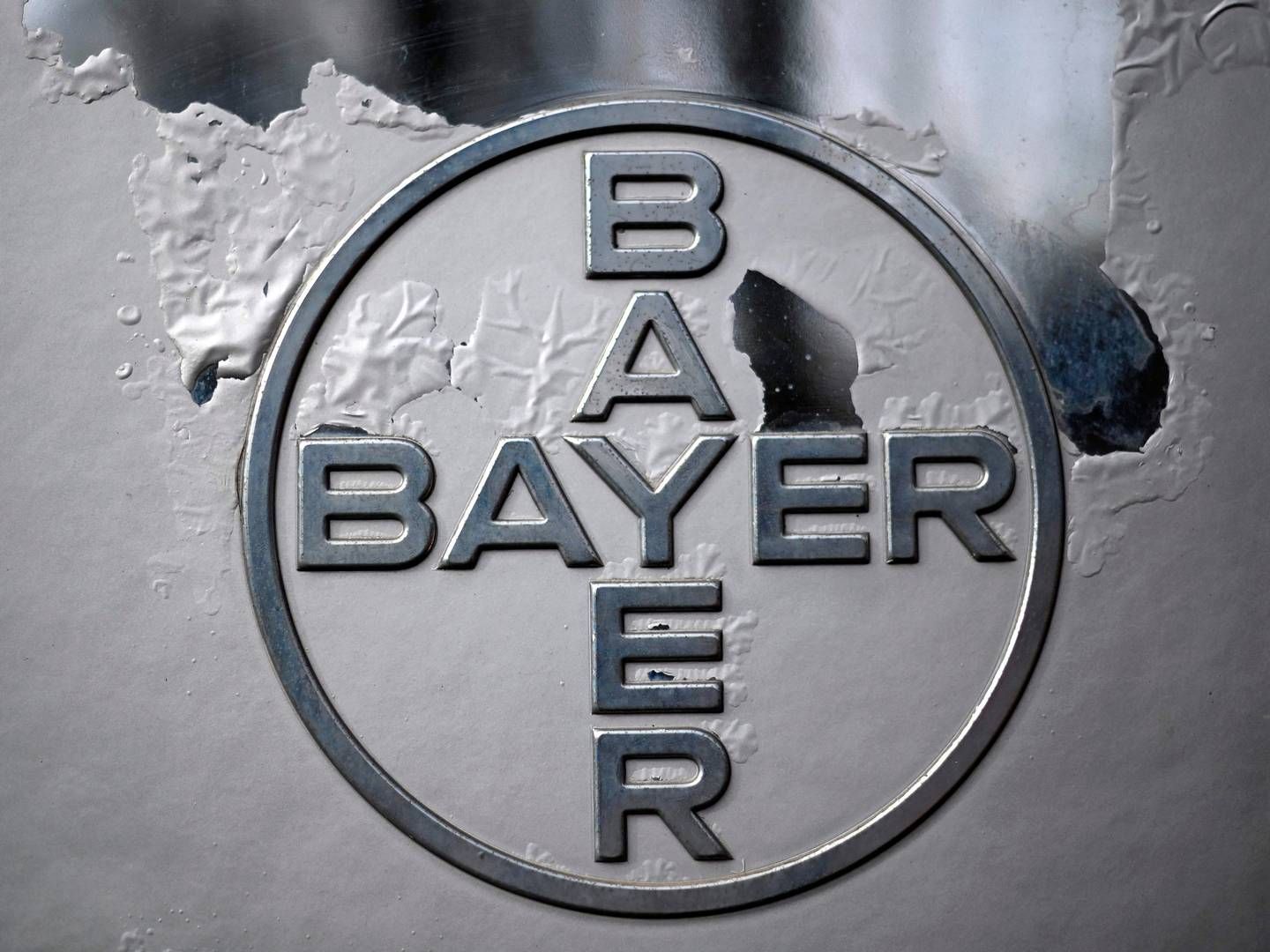 Profitten er helt væk i Bayers landbrugsdivision i seneste kvartal. | Foto: Ina Fassbender