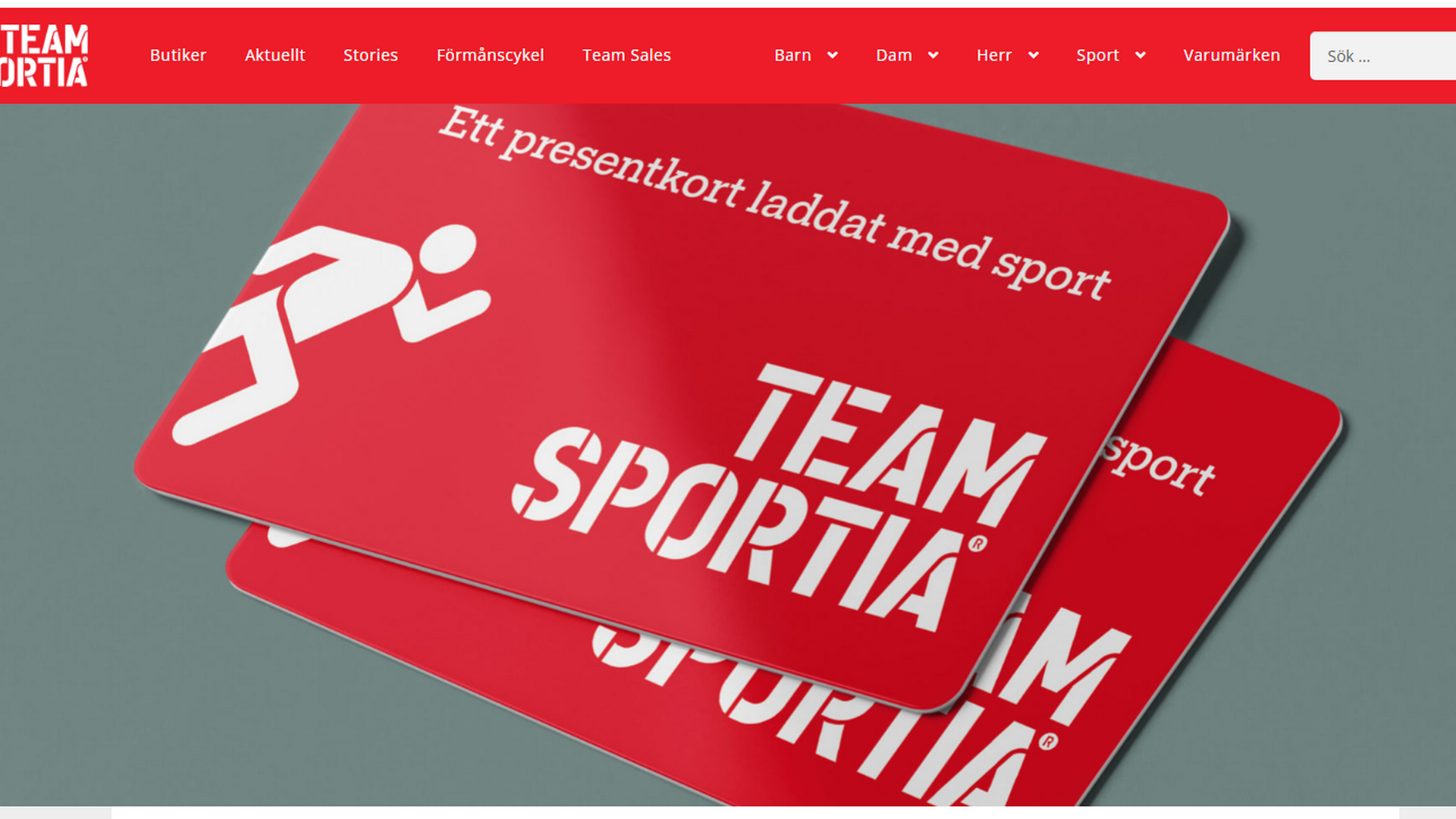 Team Sportia har omkring 40 butikker i Sverige. | Foto: Screenshot af Team Sportias webshop