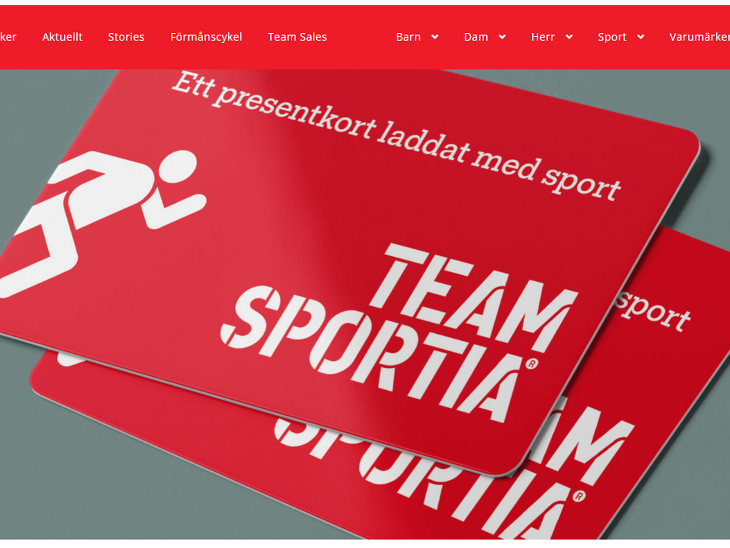 Team Sportia har omkring 40 butikker i Sverige. | Foto: Screenshot af Team Sportias webshop