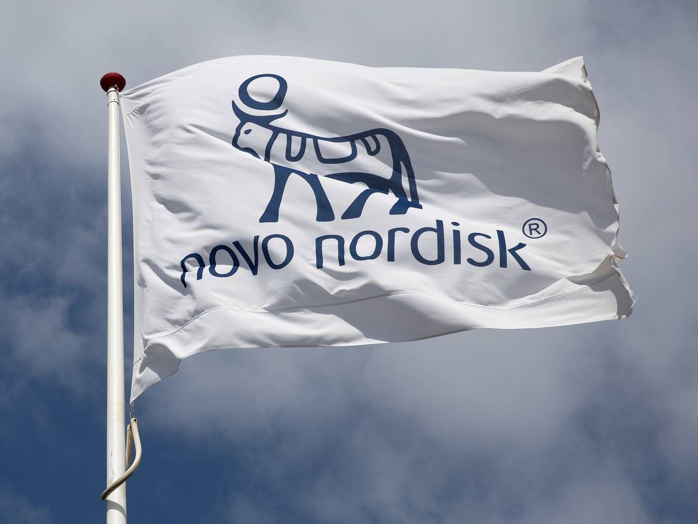 ”Novo Nordisk er en kæmpe erhvervshistorie, der har det hele. Magt, penge og et produkt, der storsælger, men som også er stærkt omdiskuteret," siger DR's nye dedikerede Novo Nordisk-reporter til Kforum. | Foto: Finn Frandsen